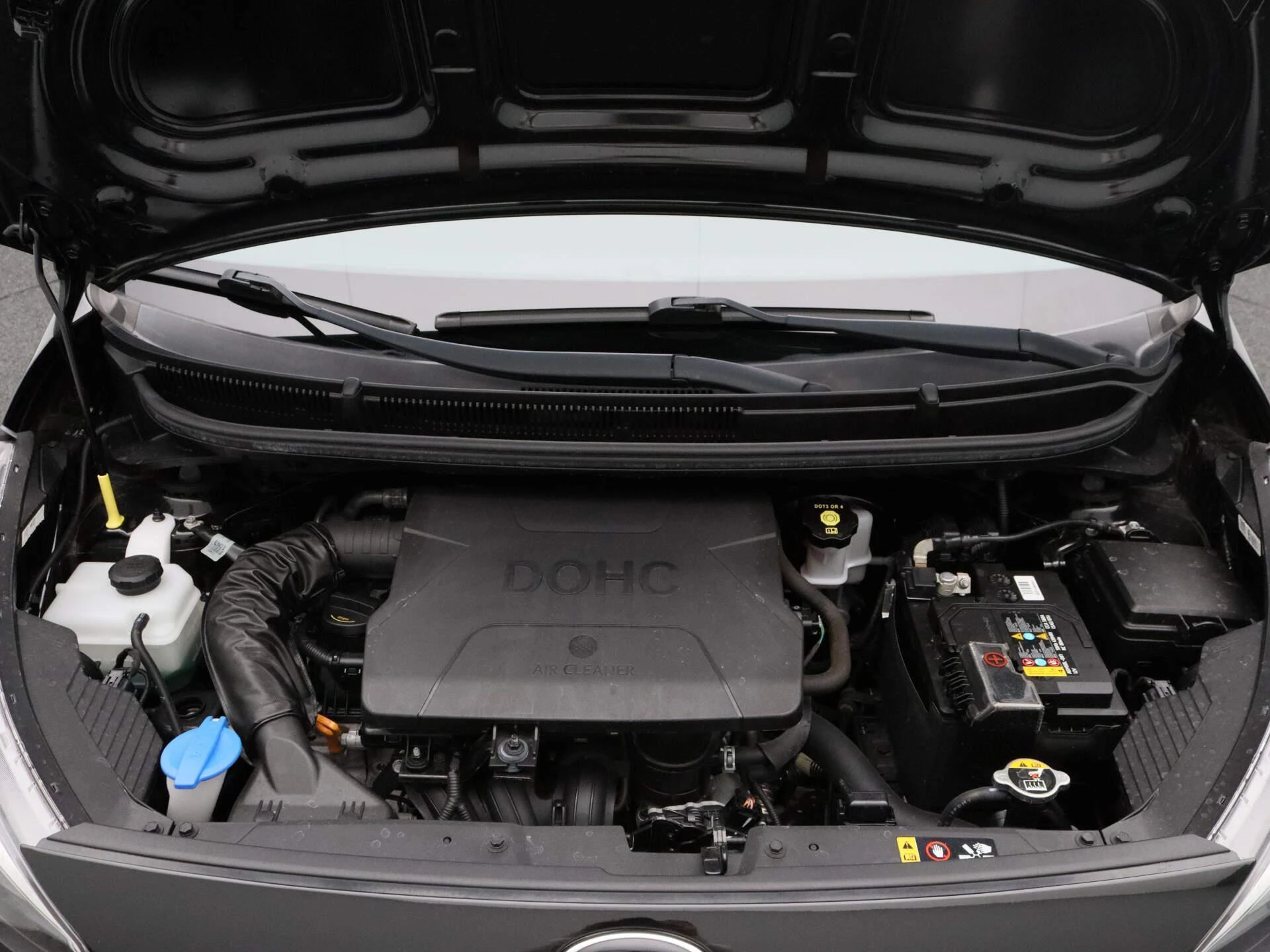Kia Picanto 1.0 CVVT Colour Edition