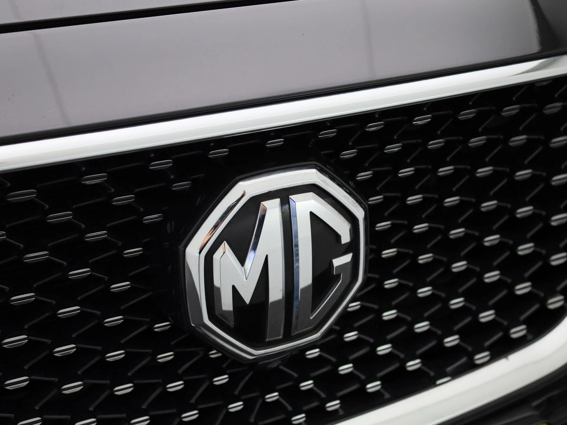 MG-EHS-image-33