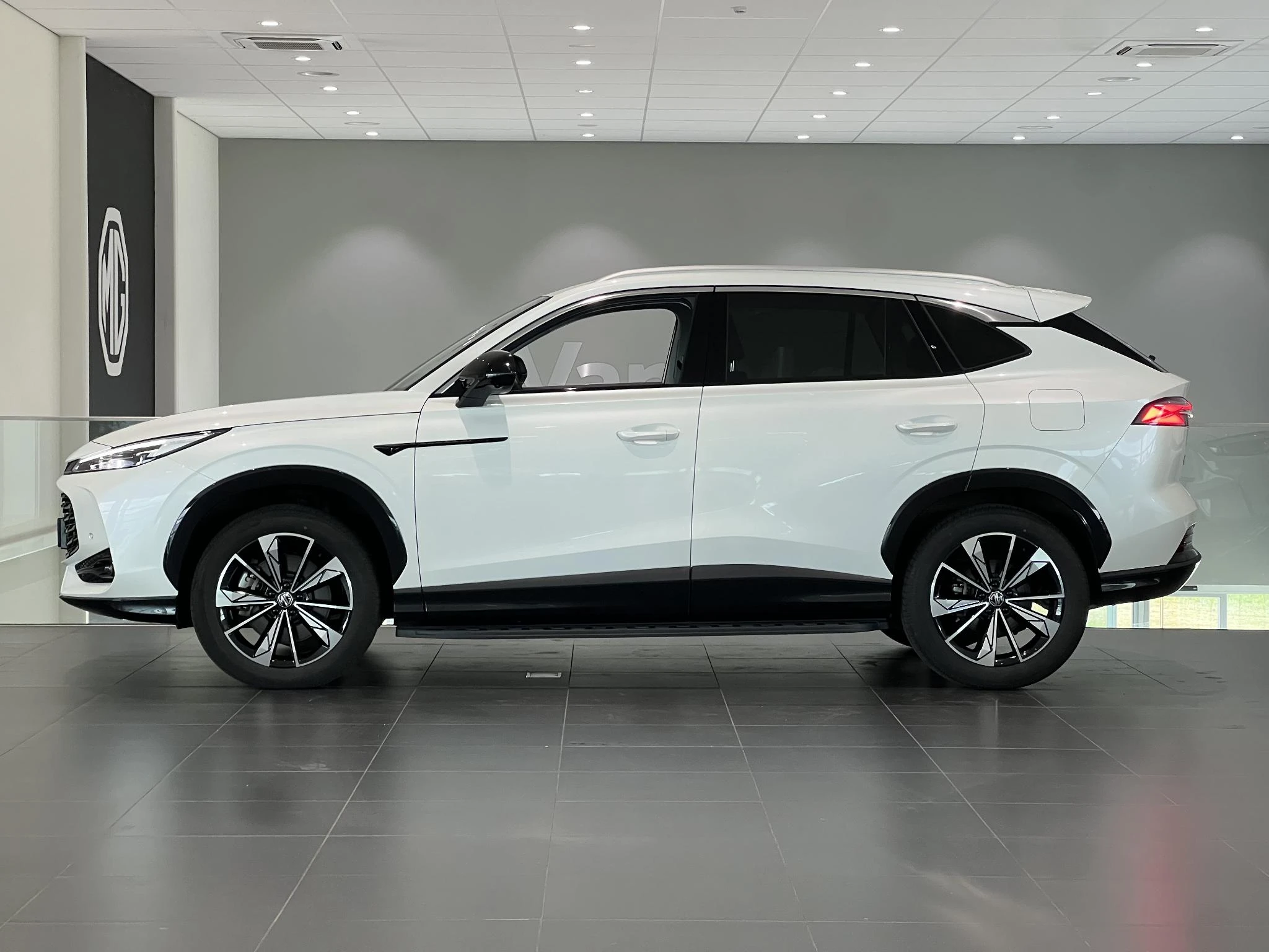 MG-HS-image-2