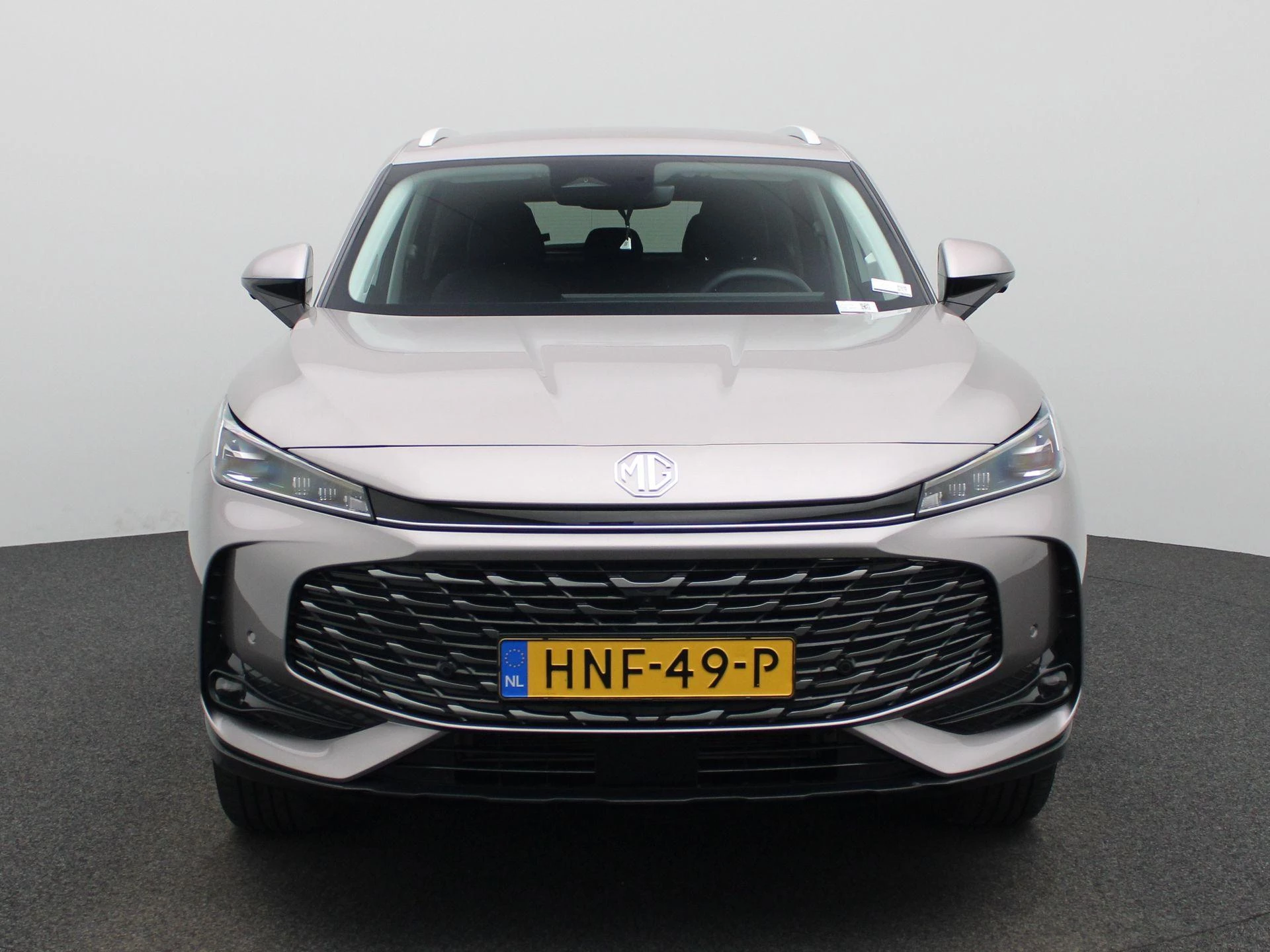 MG-HS-image-3