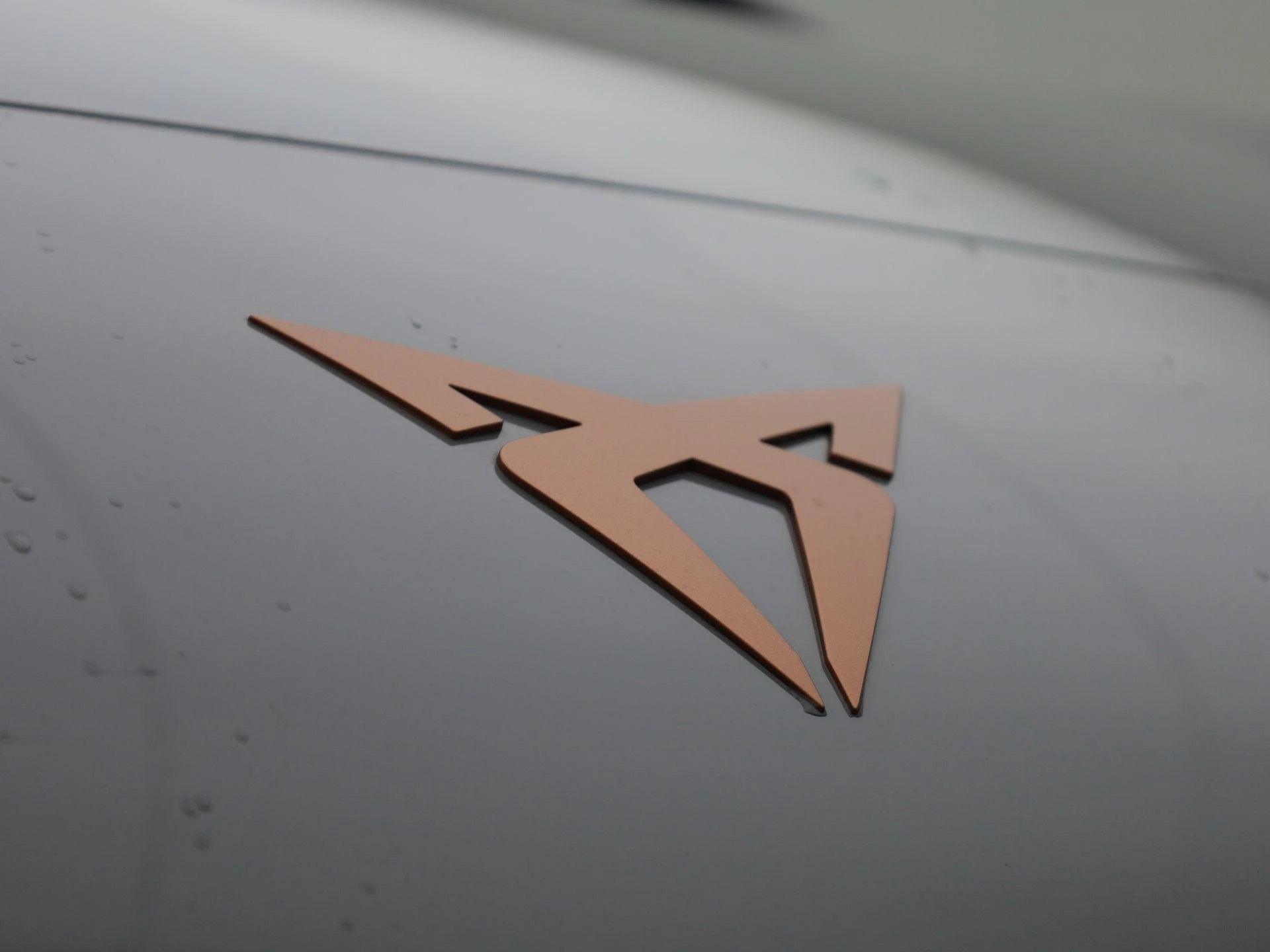 CUPRA Born - 48