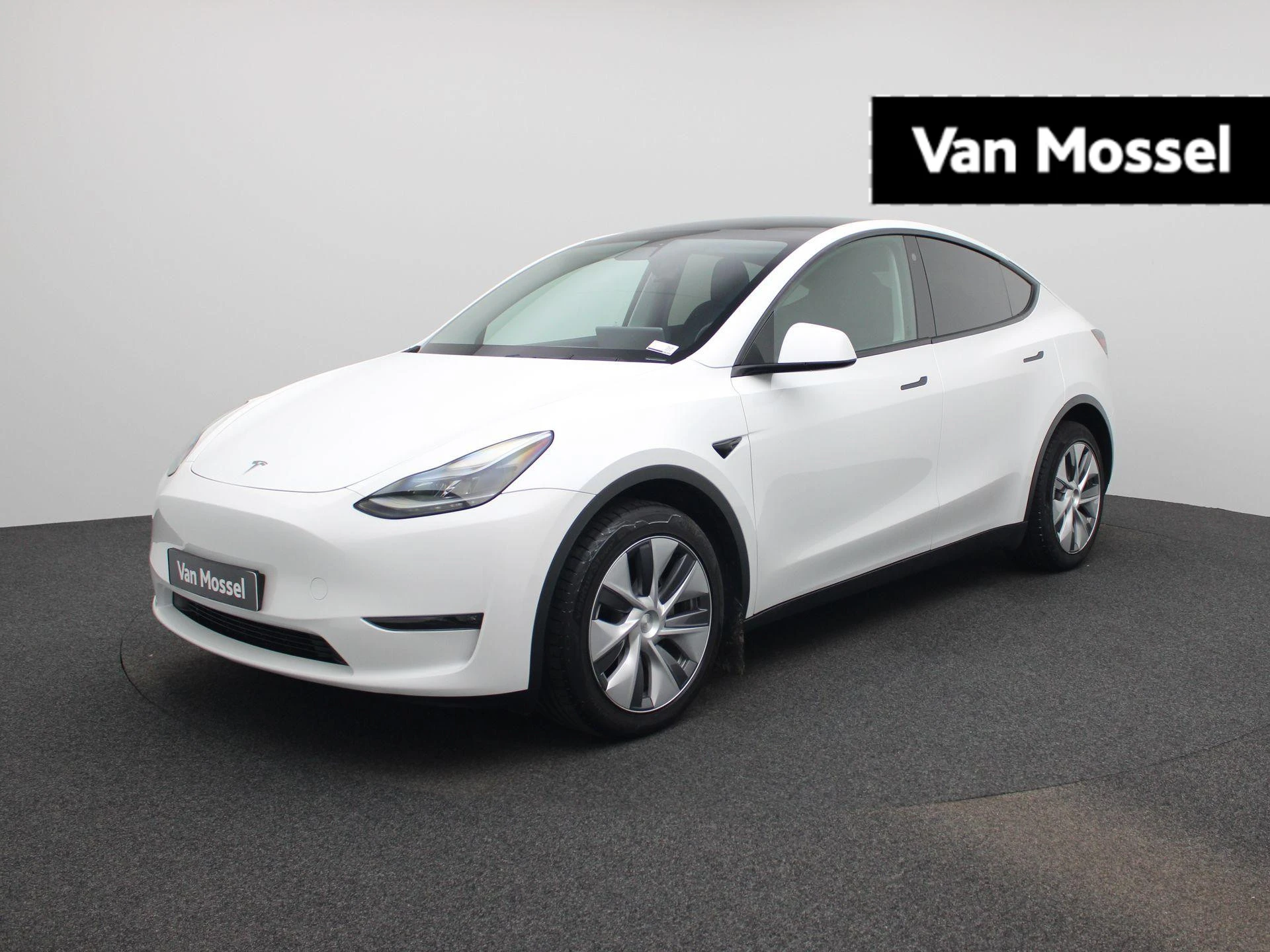 Tesla-Model Y-image-0