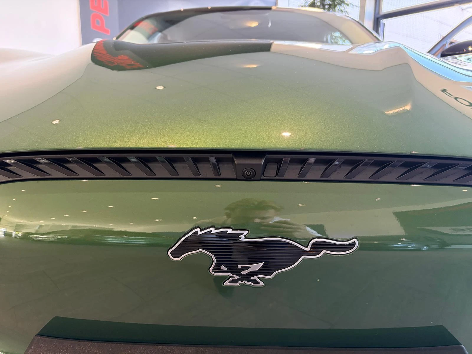 Ford-Mustang Mach-E-image-22