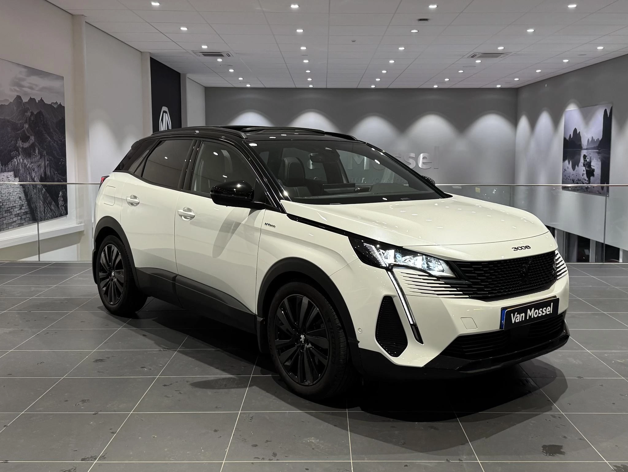 Peugeot-3008-image-6