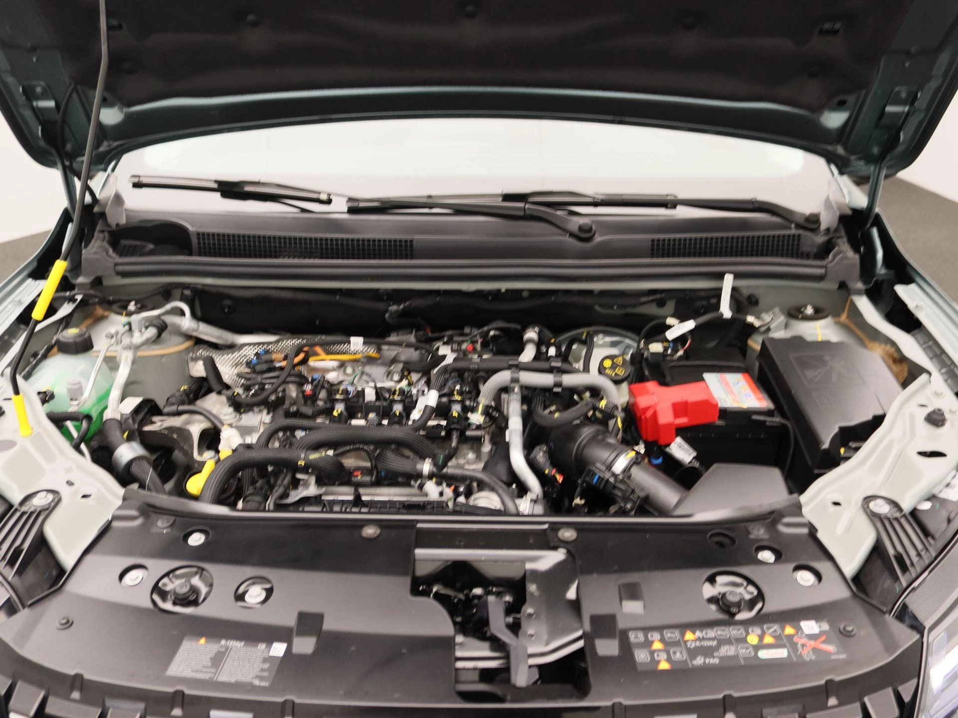 Dacia-Sandero Stepway-image-25