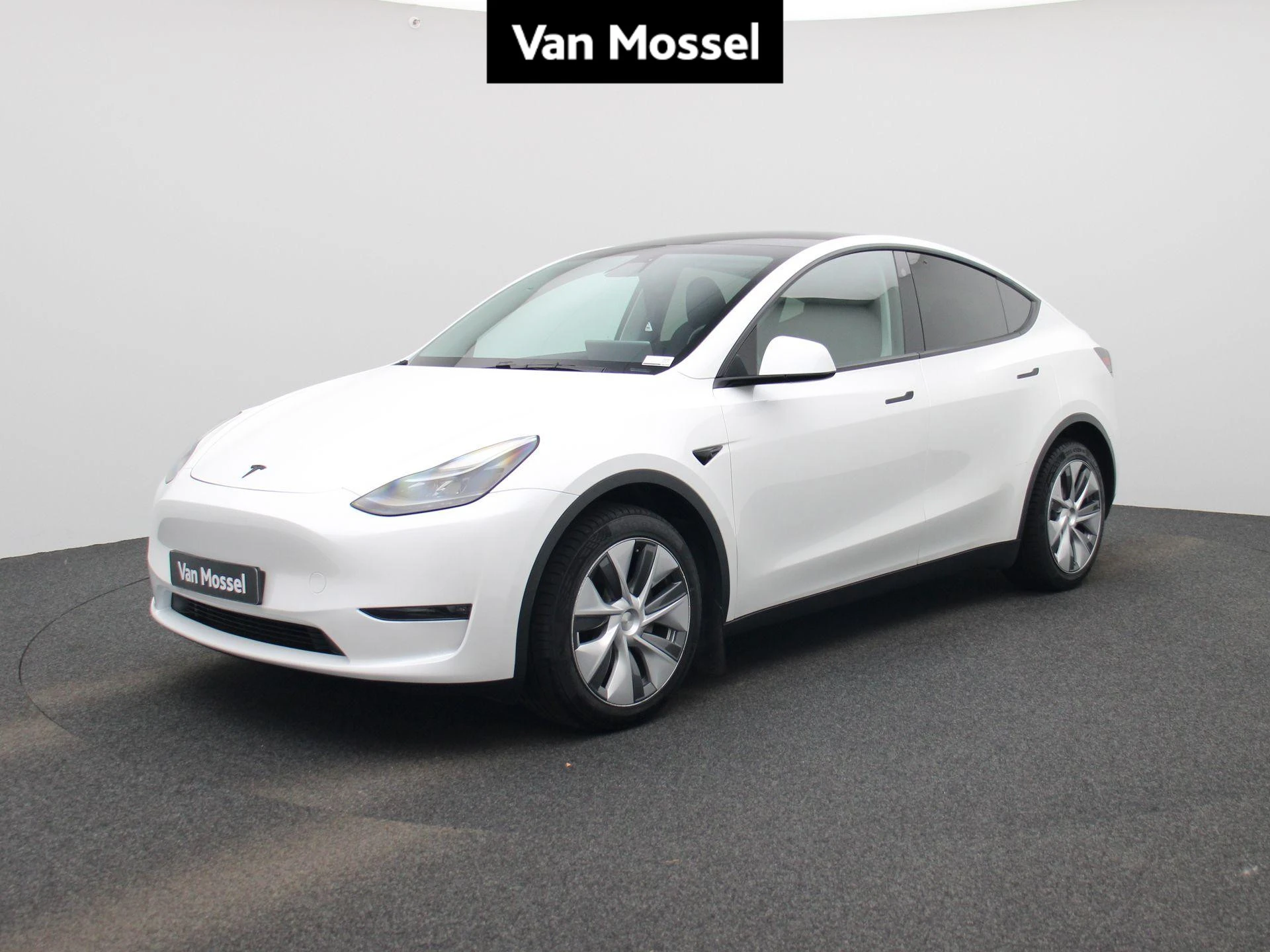 Tesla-Model Y-image-0