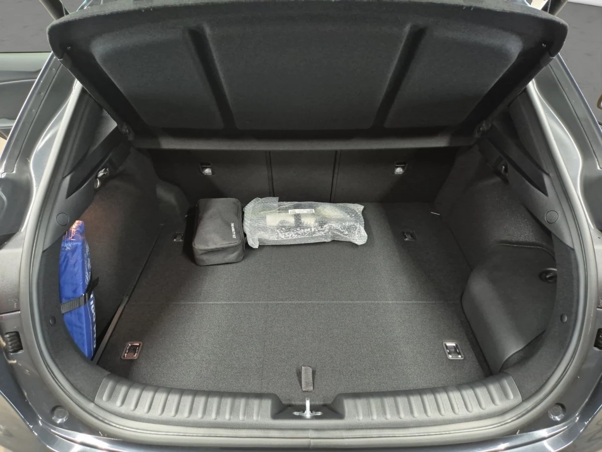 Kia XCeed Platinum 1.6 GDI Plug-In Hybrid LED Navi
