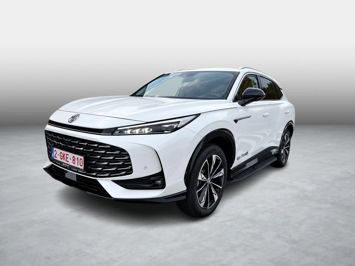 MG-HS-image-2
