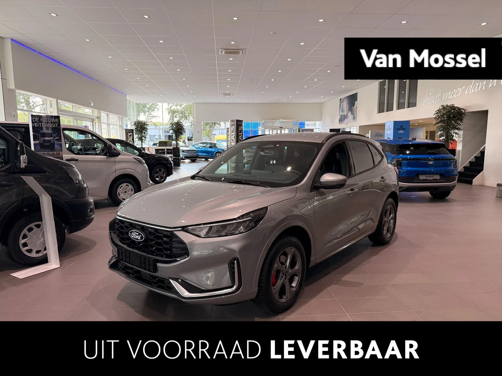 Ford-Kuga-image-0