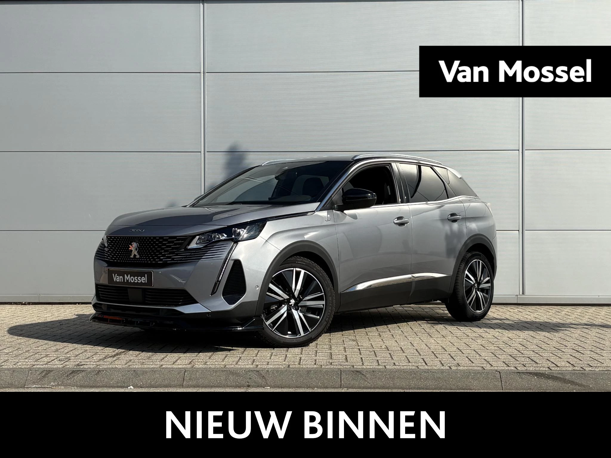Peugeot-3008-image-0