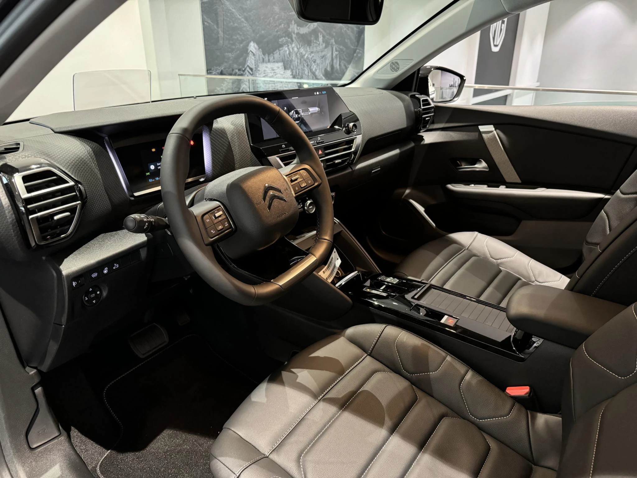 Citroën-ë-C4 X-image-18