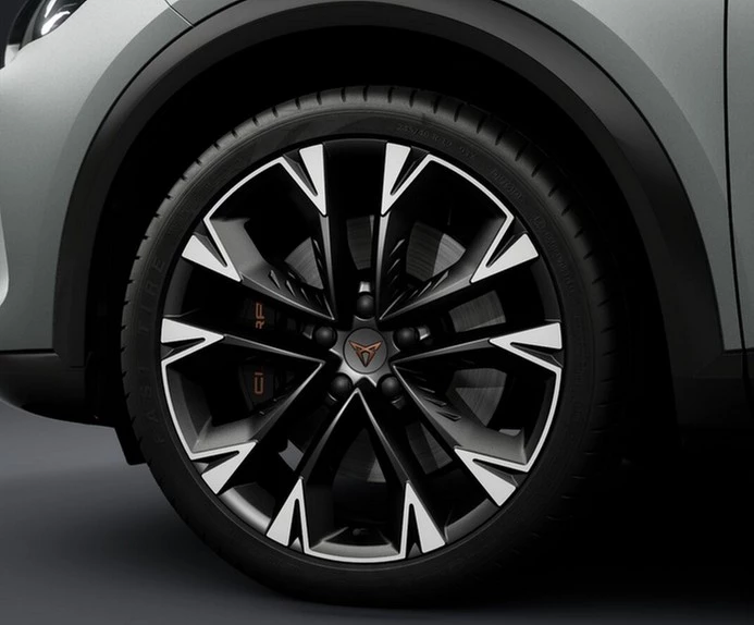 CUPRA Formentor VZ 2.0 TSI 195 kW 7-Gang-DSG Drive-Paket, Matrix-LED, Navi, AHK Vorrichtung