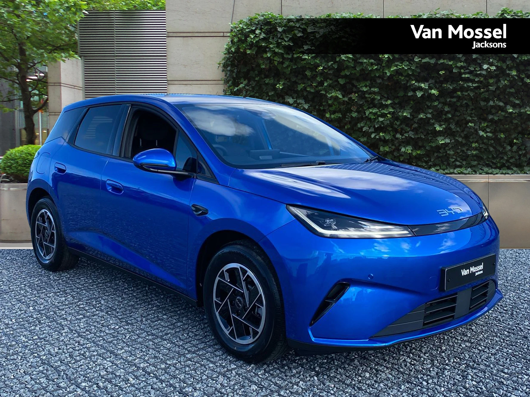 BYD DOLPHIN Used Car