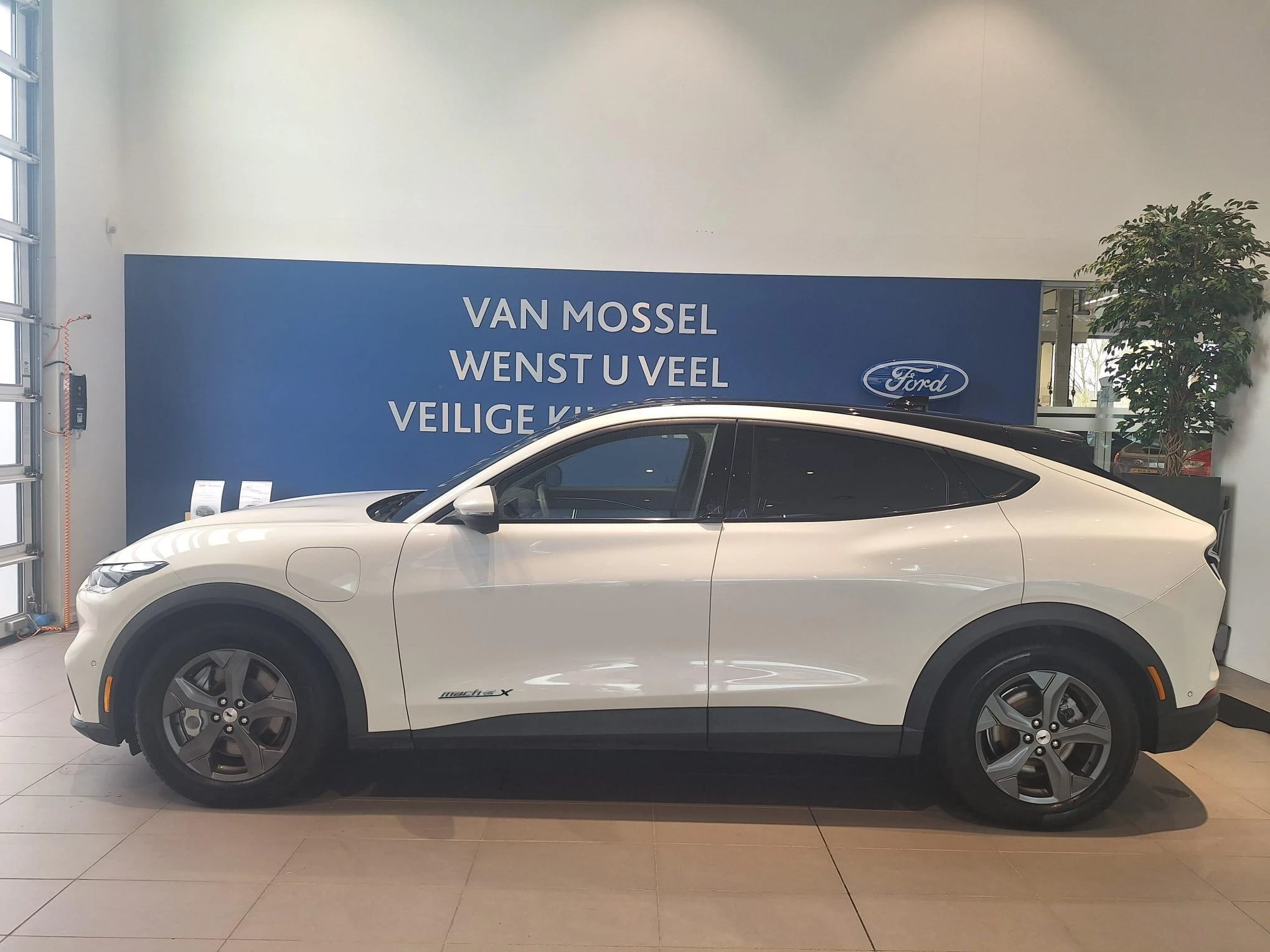 Ford-Mustang Mach-E-image-3