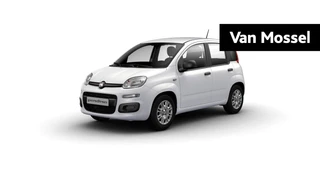 Fiat-Pandina-image-0
