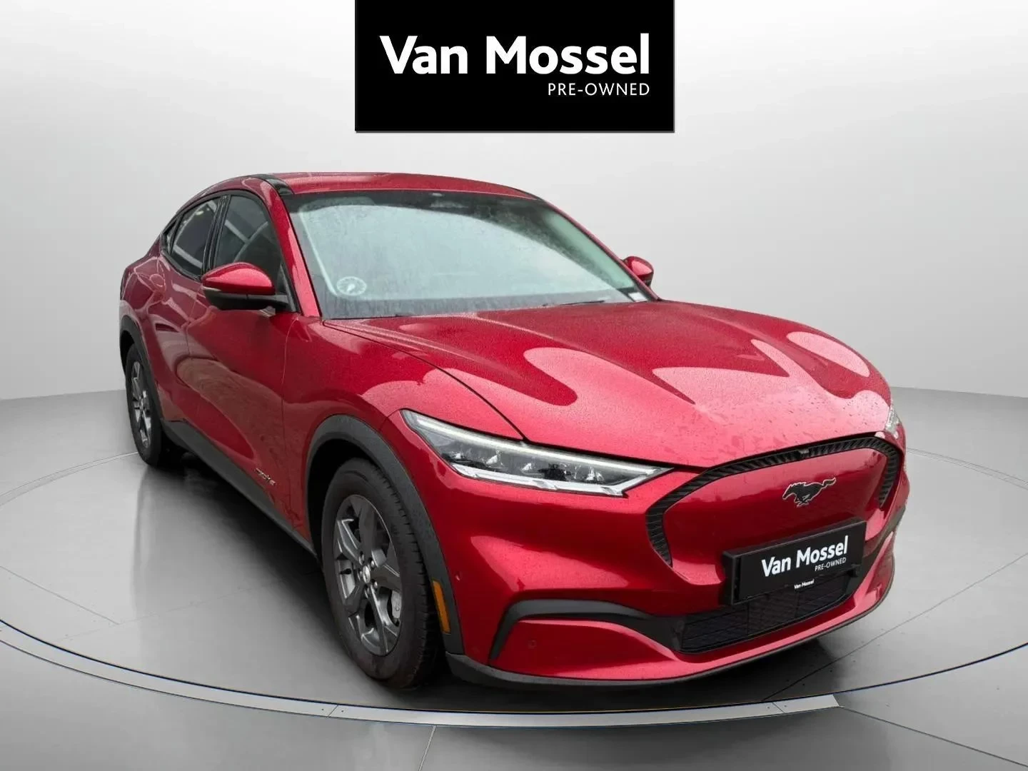 Ford-Mustang Mach-E-image-2