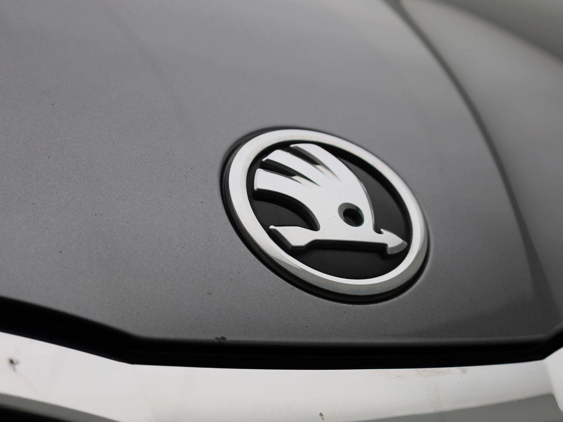 Škoda-Octavia-image-37