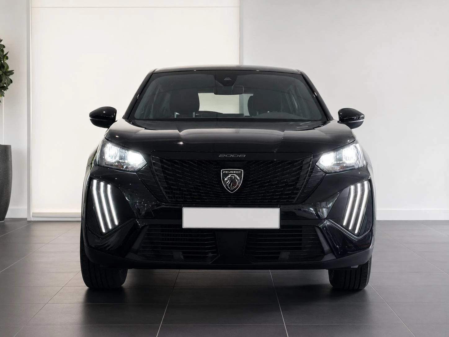 Peugeot-2008-image-6