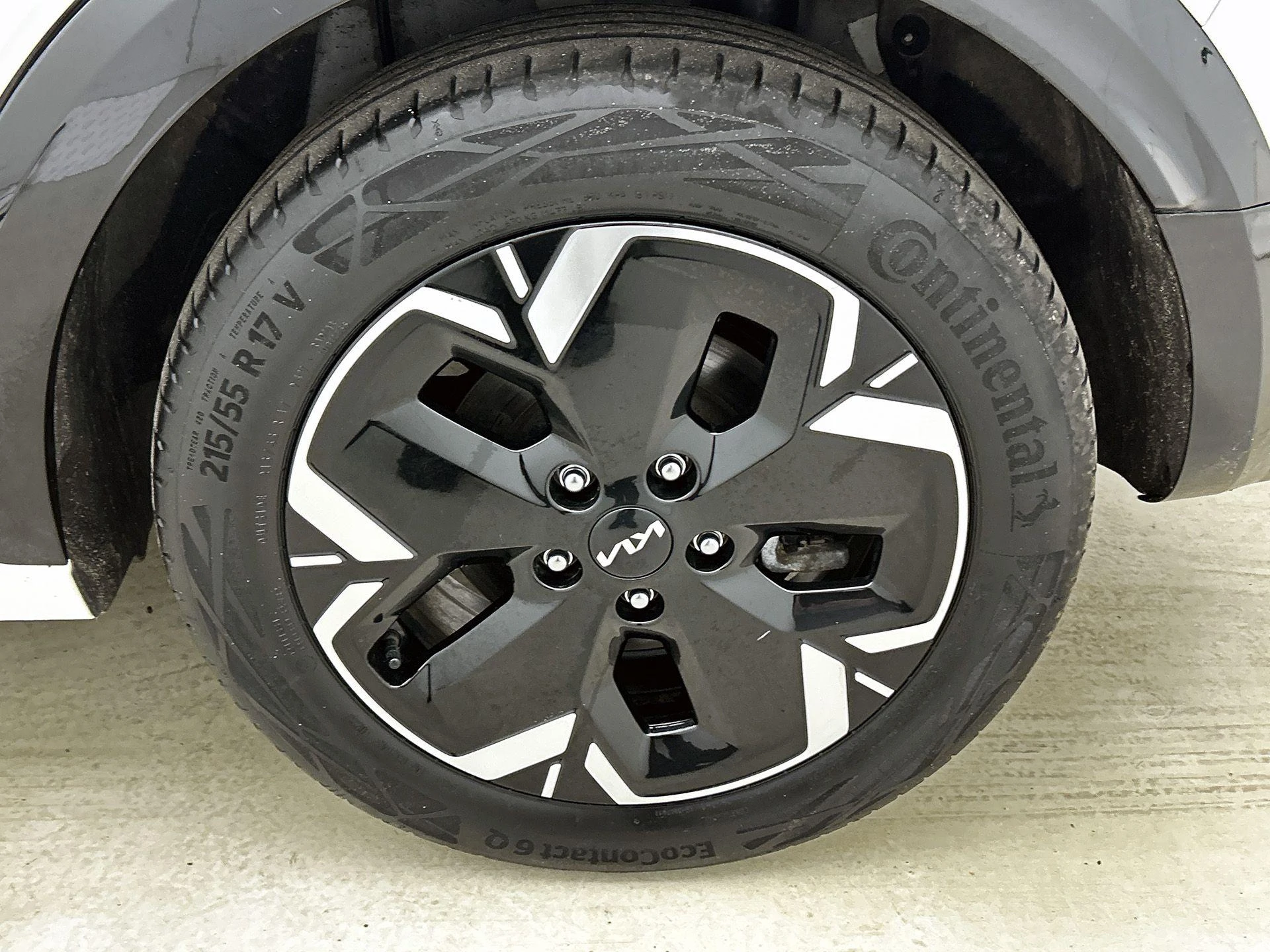 Kia-Niro EV-image-40