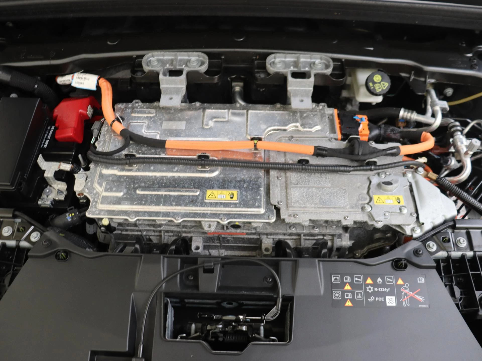 Renault-Megane E-Tech-image-6