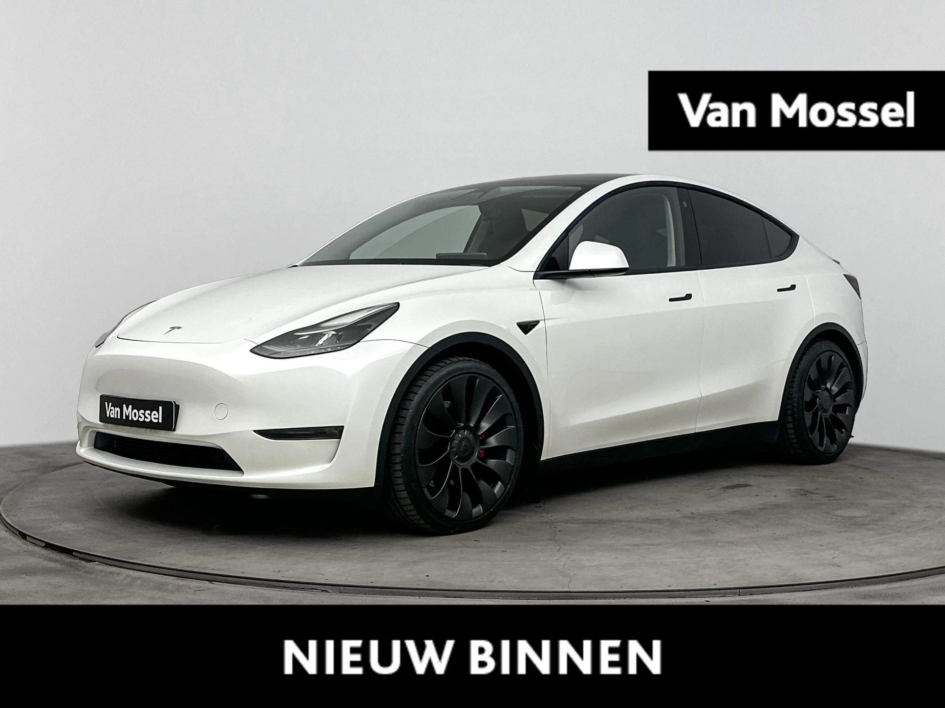 Tesla-Model Y-image-0