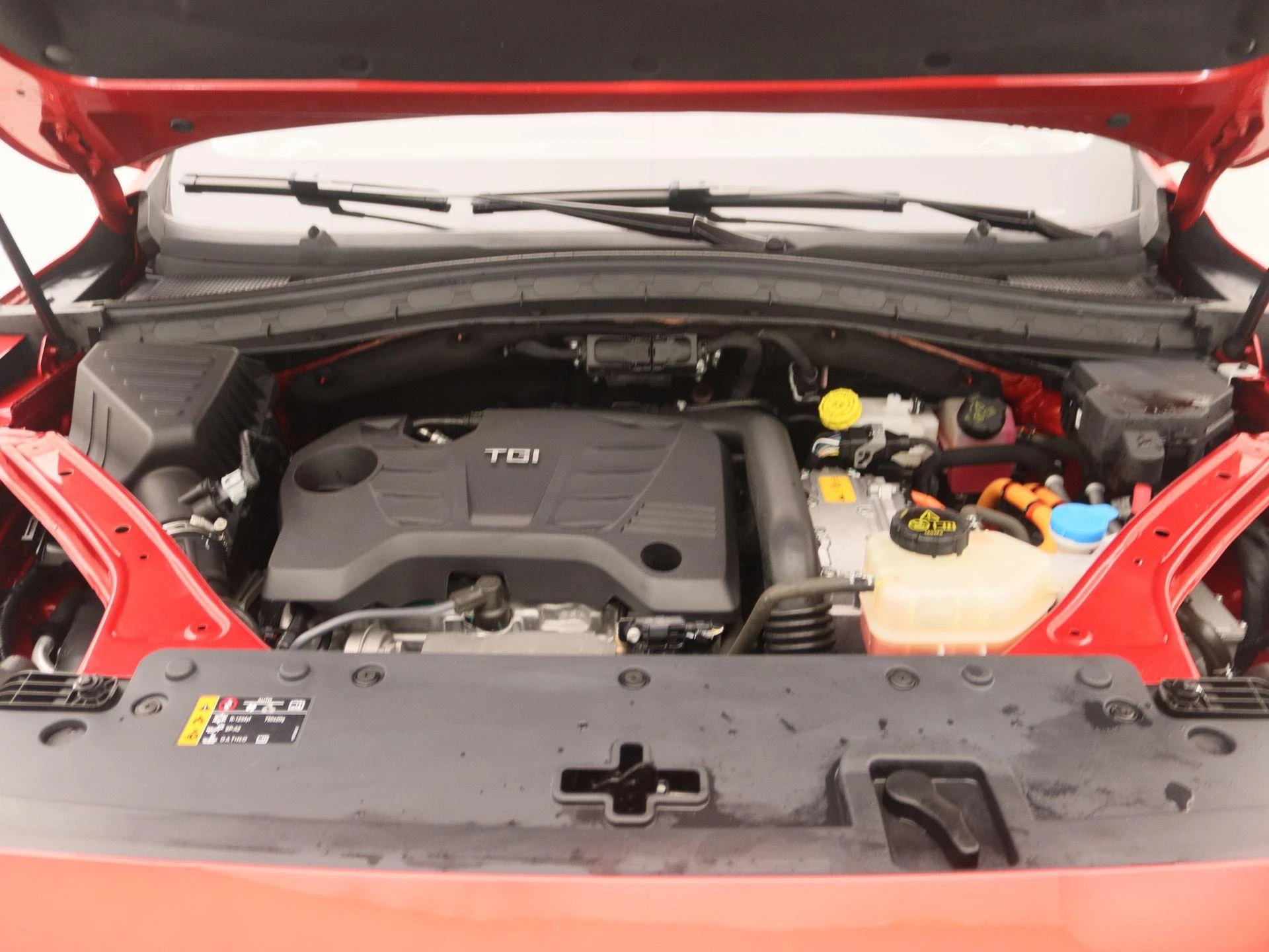 MG-EHS-image-27