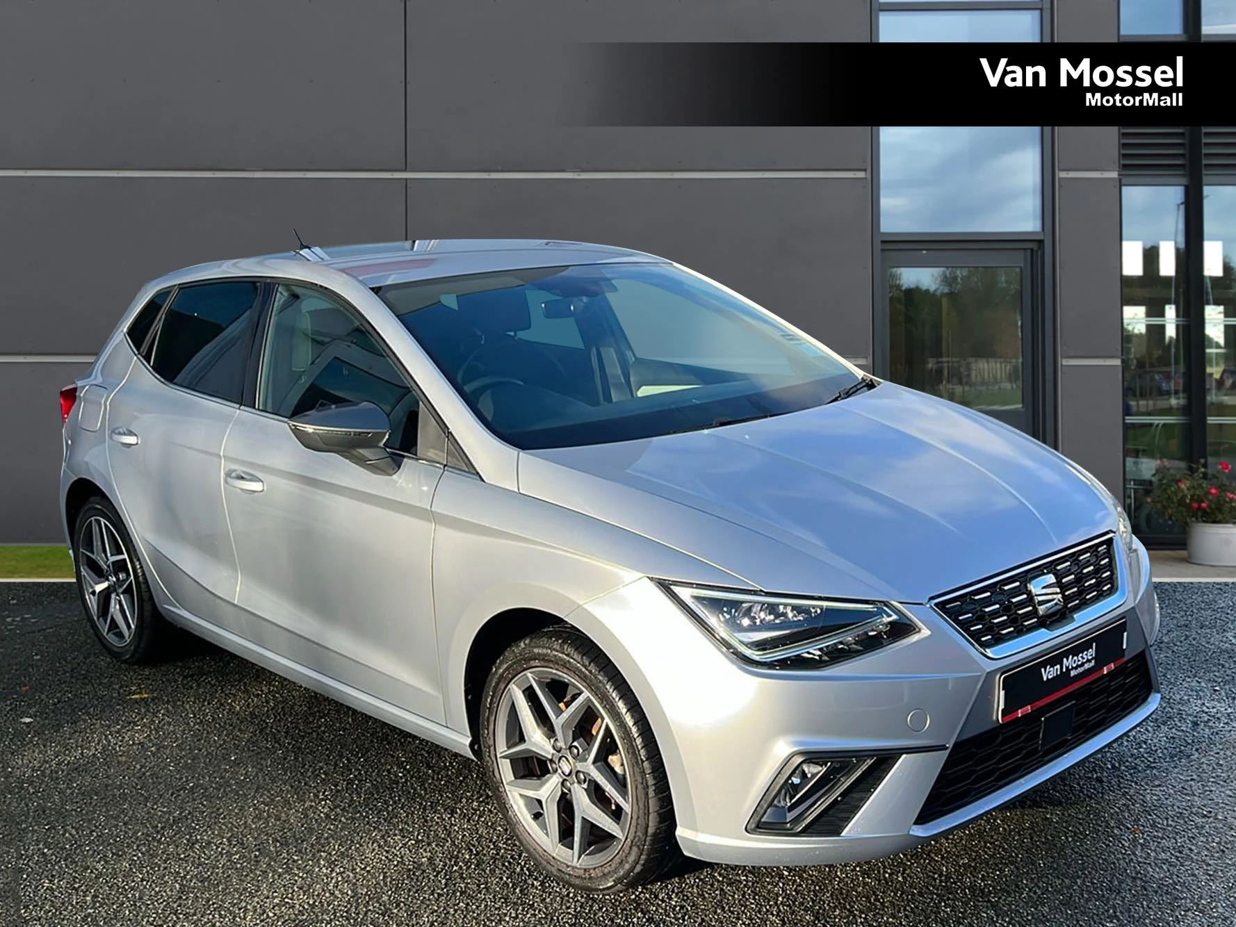 SEAT Ibiza Used Car