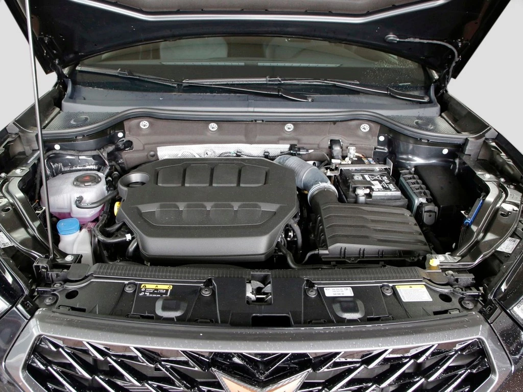 CUPRA Ateca VZ Tribe Ed. 2.0 TSI UPE 65.140 4Drive AHK