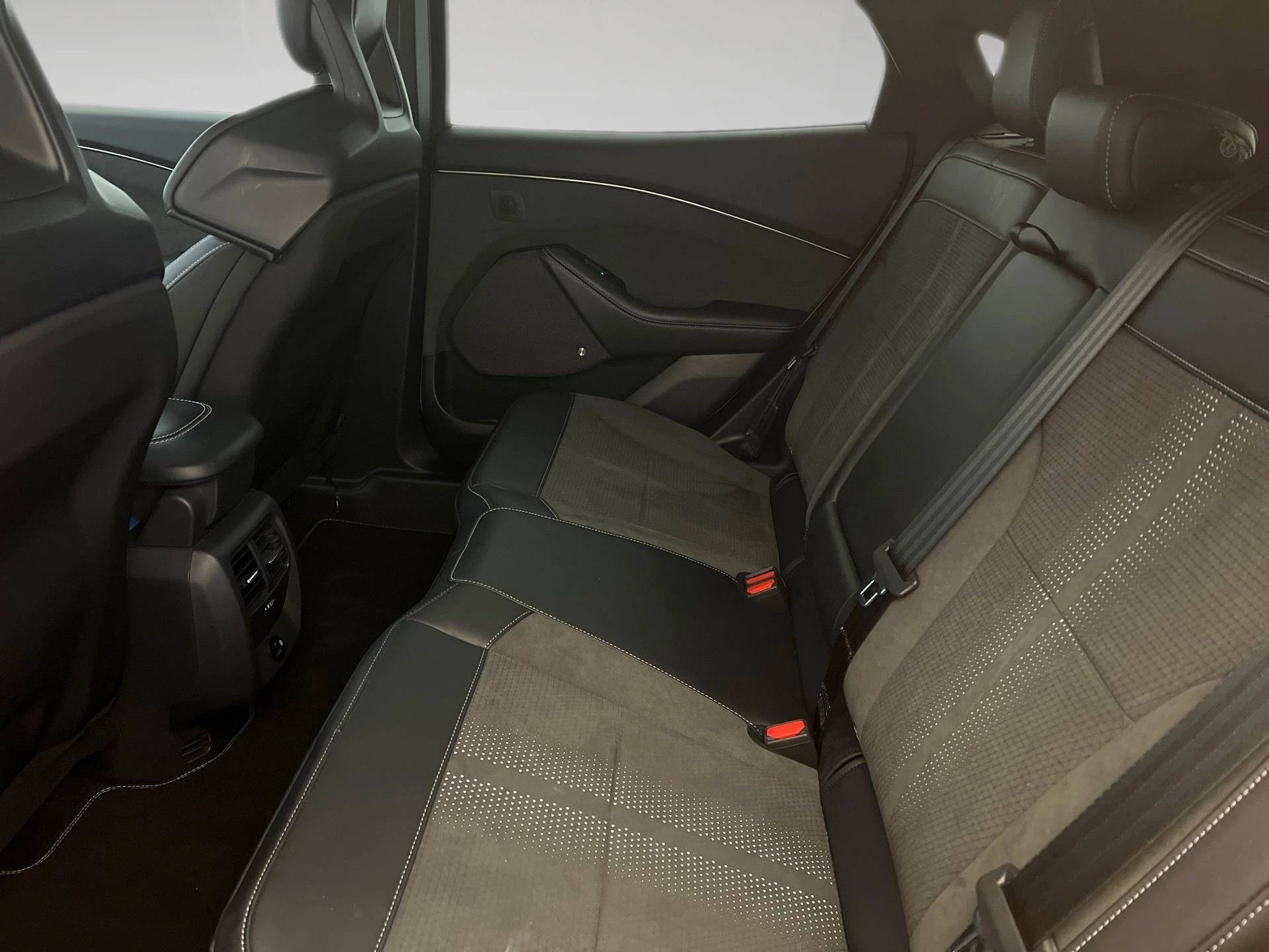 Ford-Mustang Mach-E-image-15