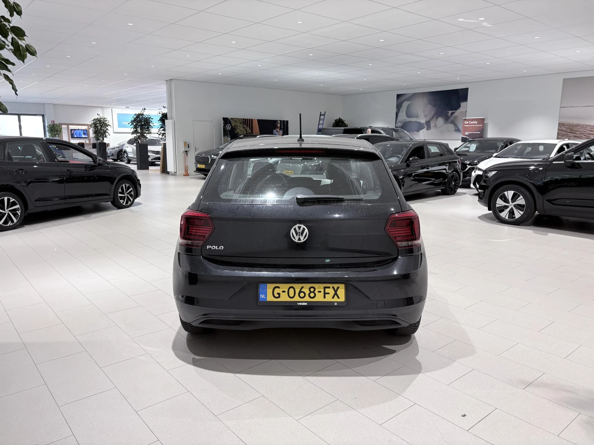 Volkswagen-Polo-image-3