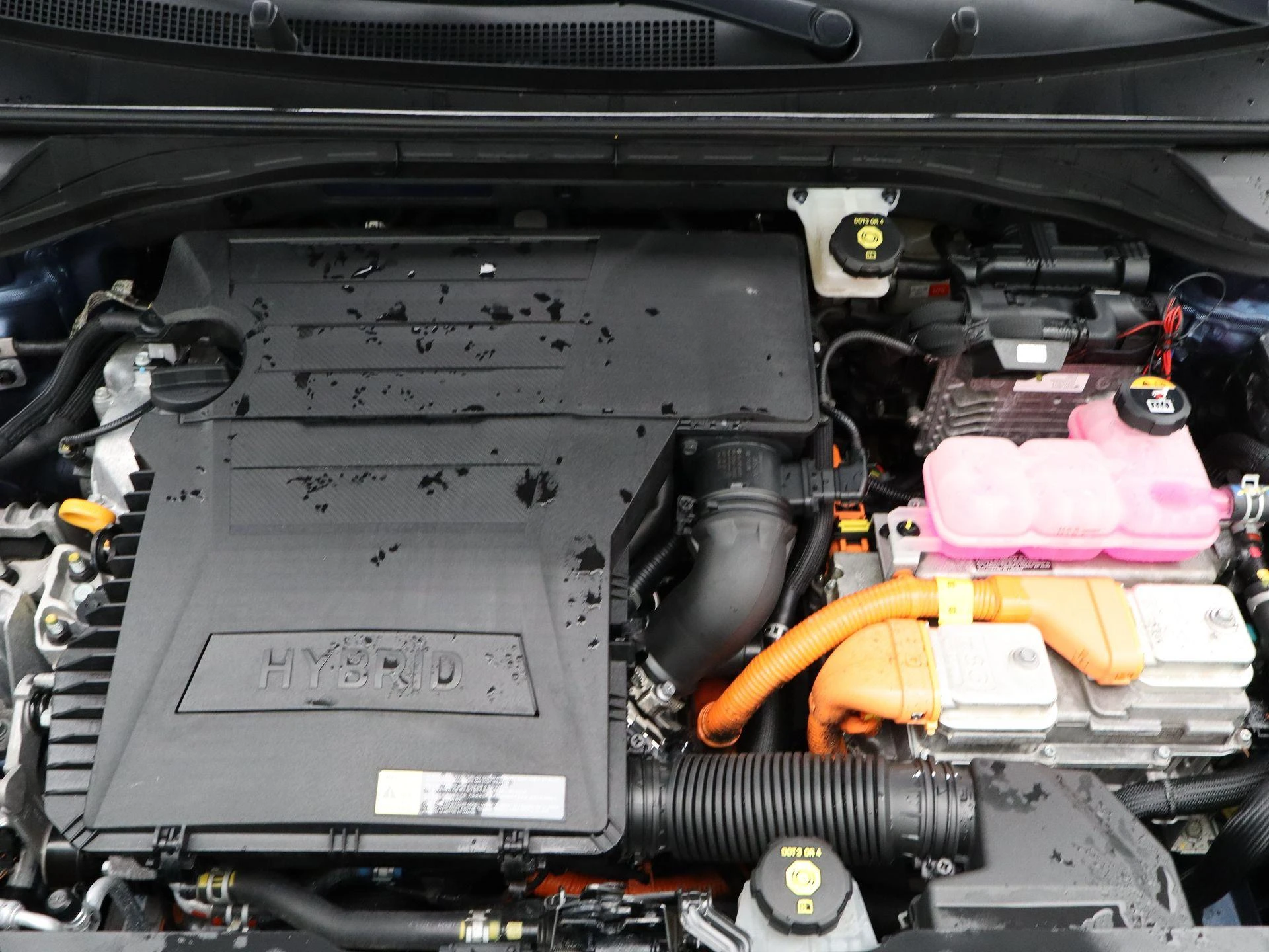 Kia-Niro-image-38