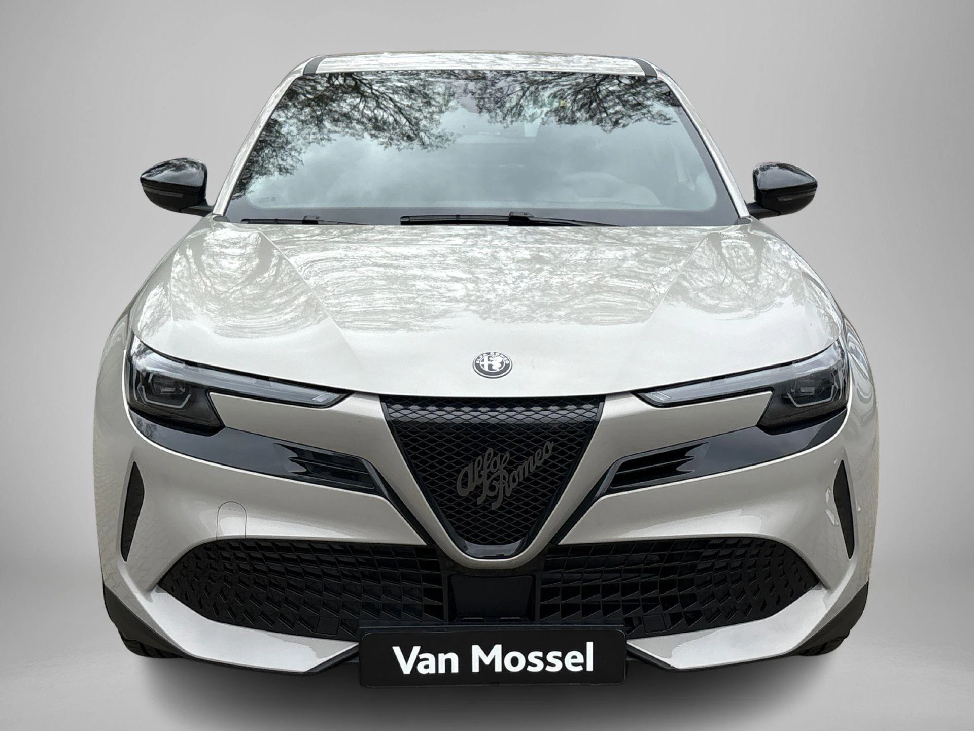 Alfa Romeo Junior Elettrica 54 kWh