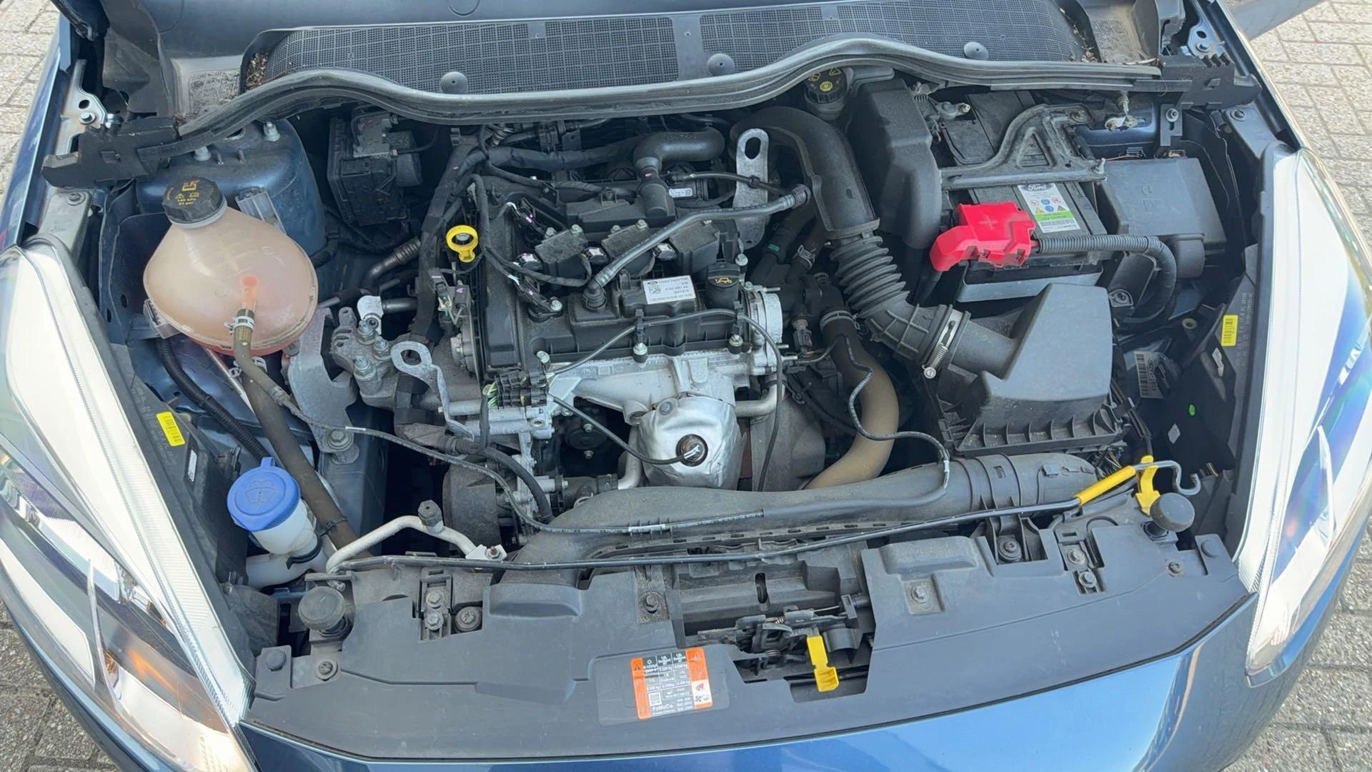 Ford-Fiesta-image-10