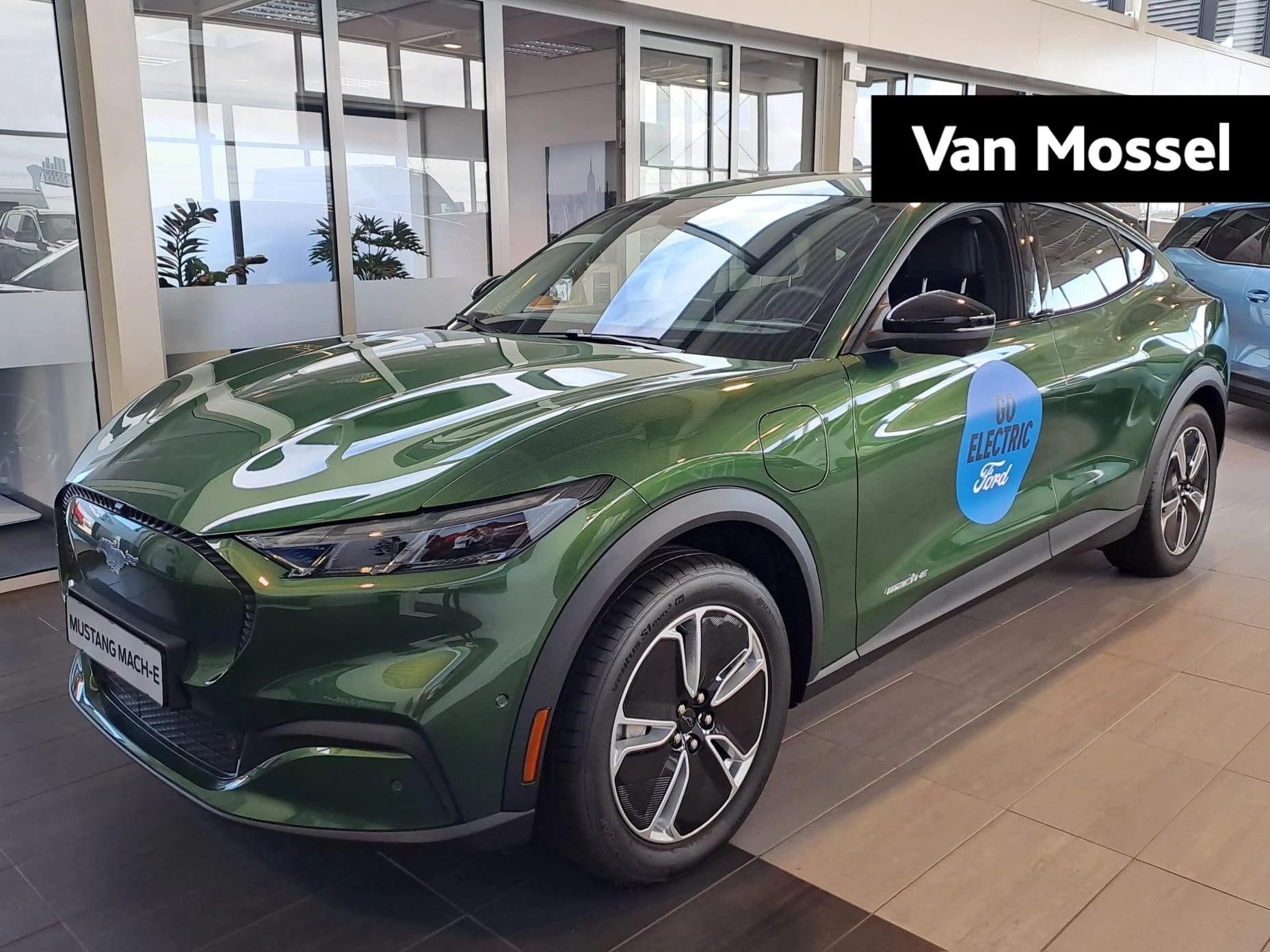 Ford-Mustang Mach-E-image-0