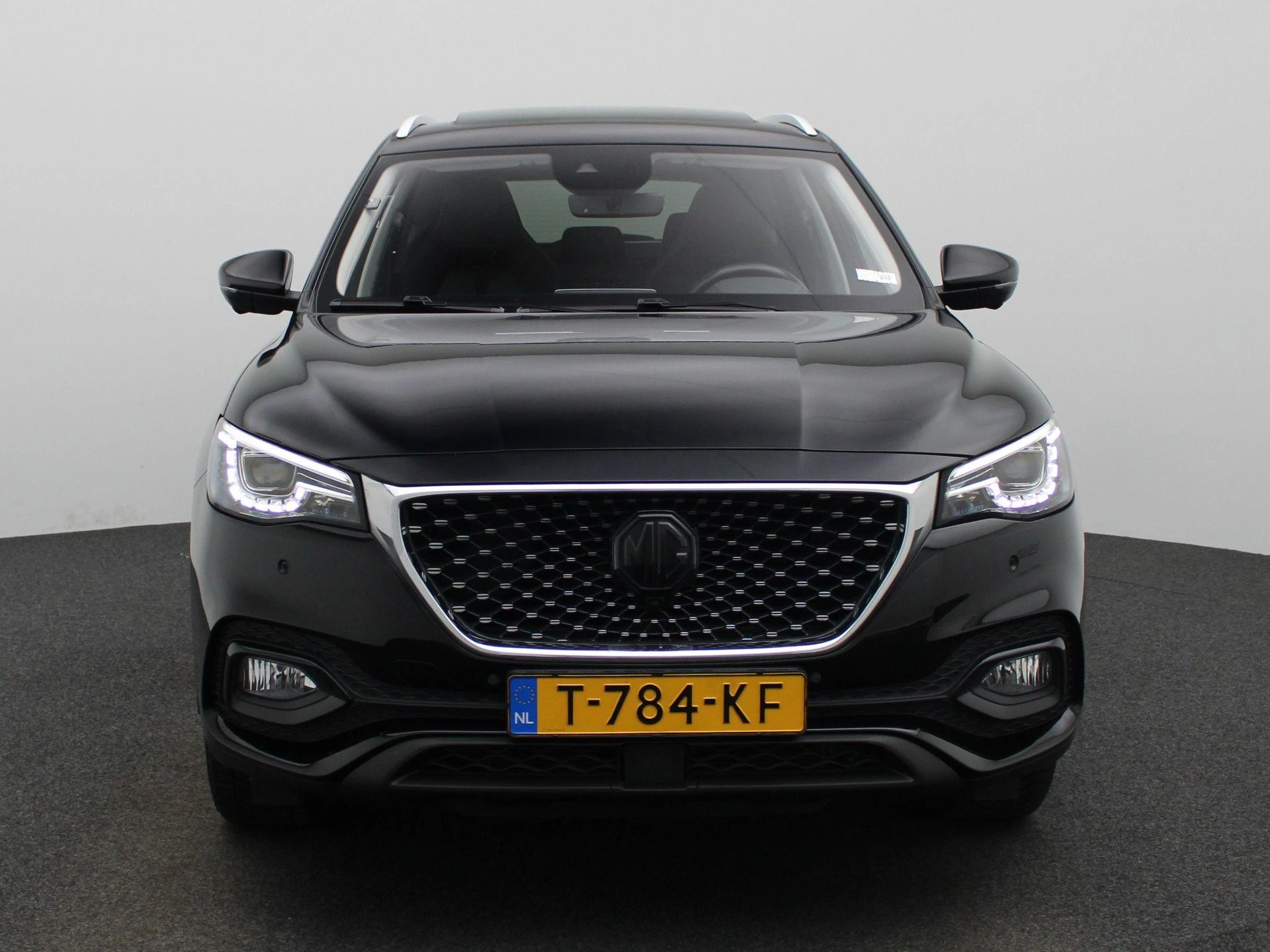 MG-EHS-image-2