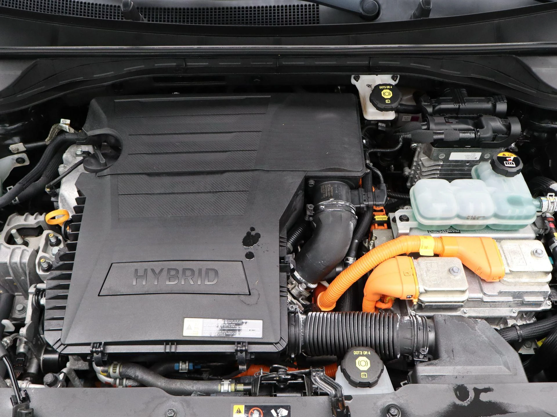 Kia-Niro-image-36