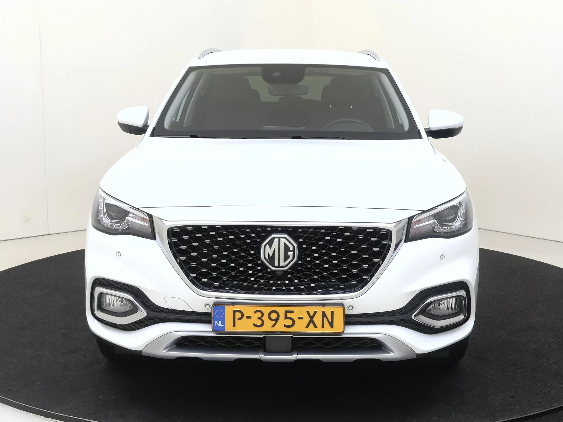 MG-EHS-image-5