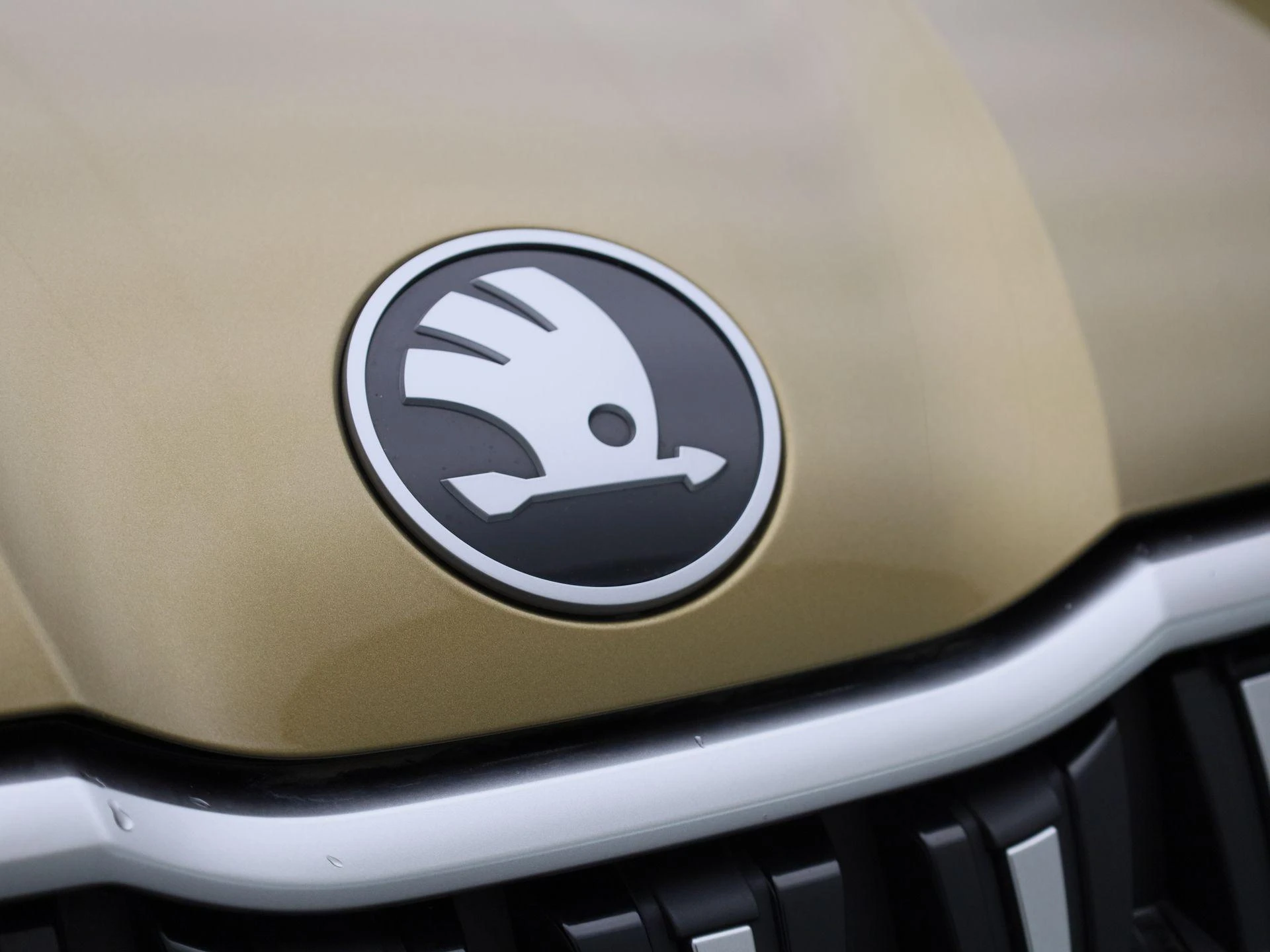 Škoda-Kodiaq-image-36