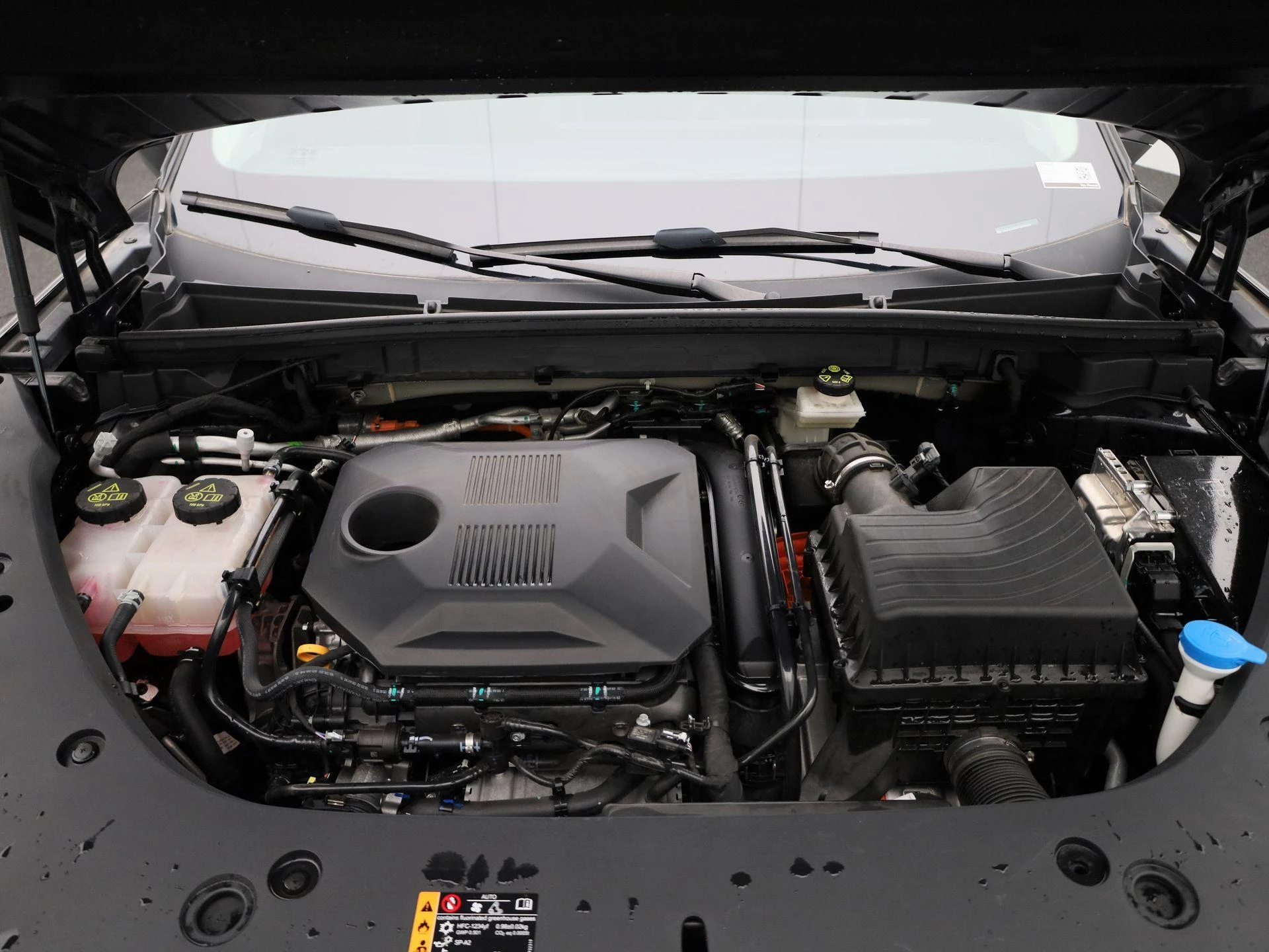 MG-HS-image-38