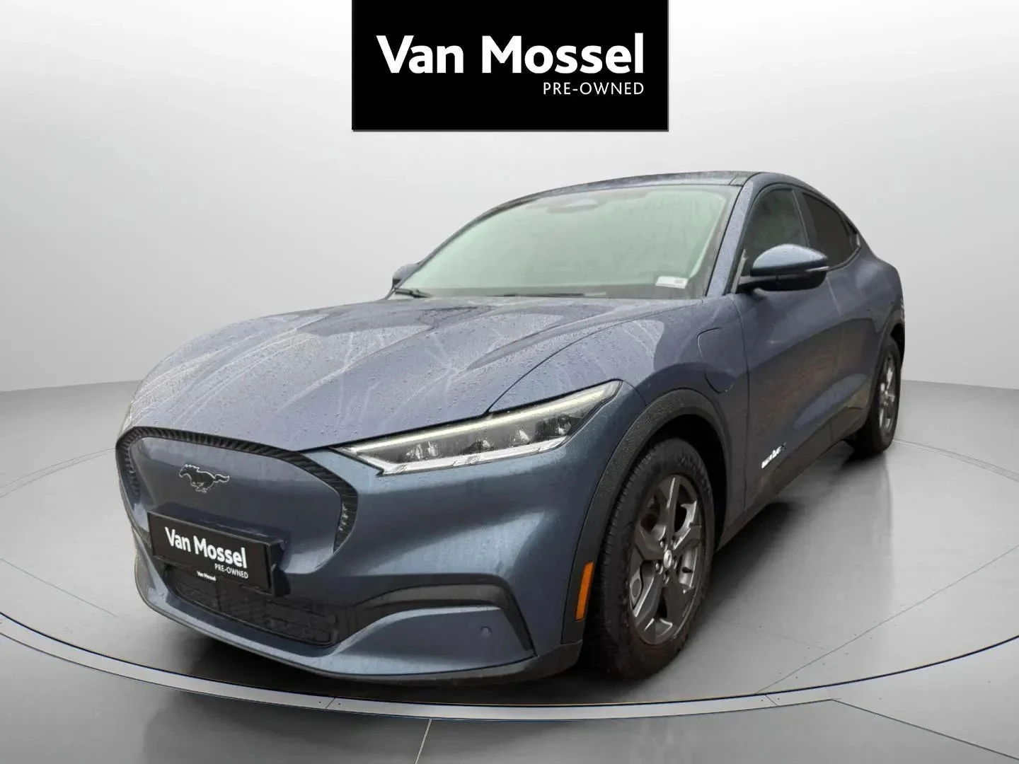 Ford-Mustang Mach-E-image-0