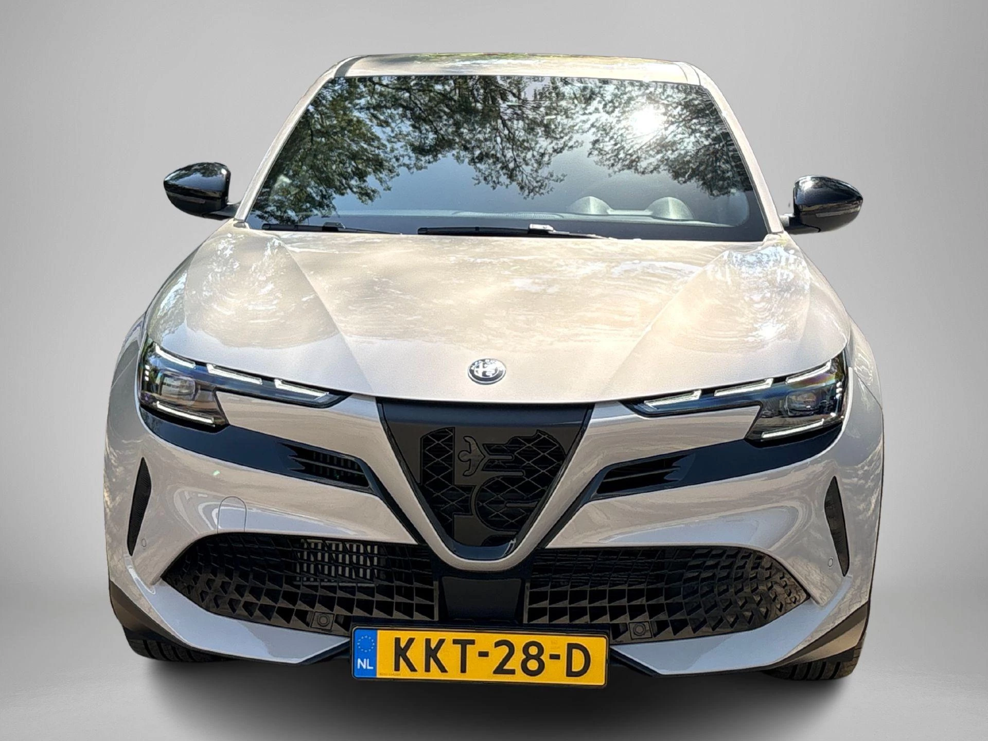 Alfa Romeo-Junior-image-22