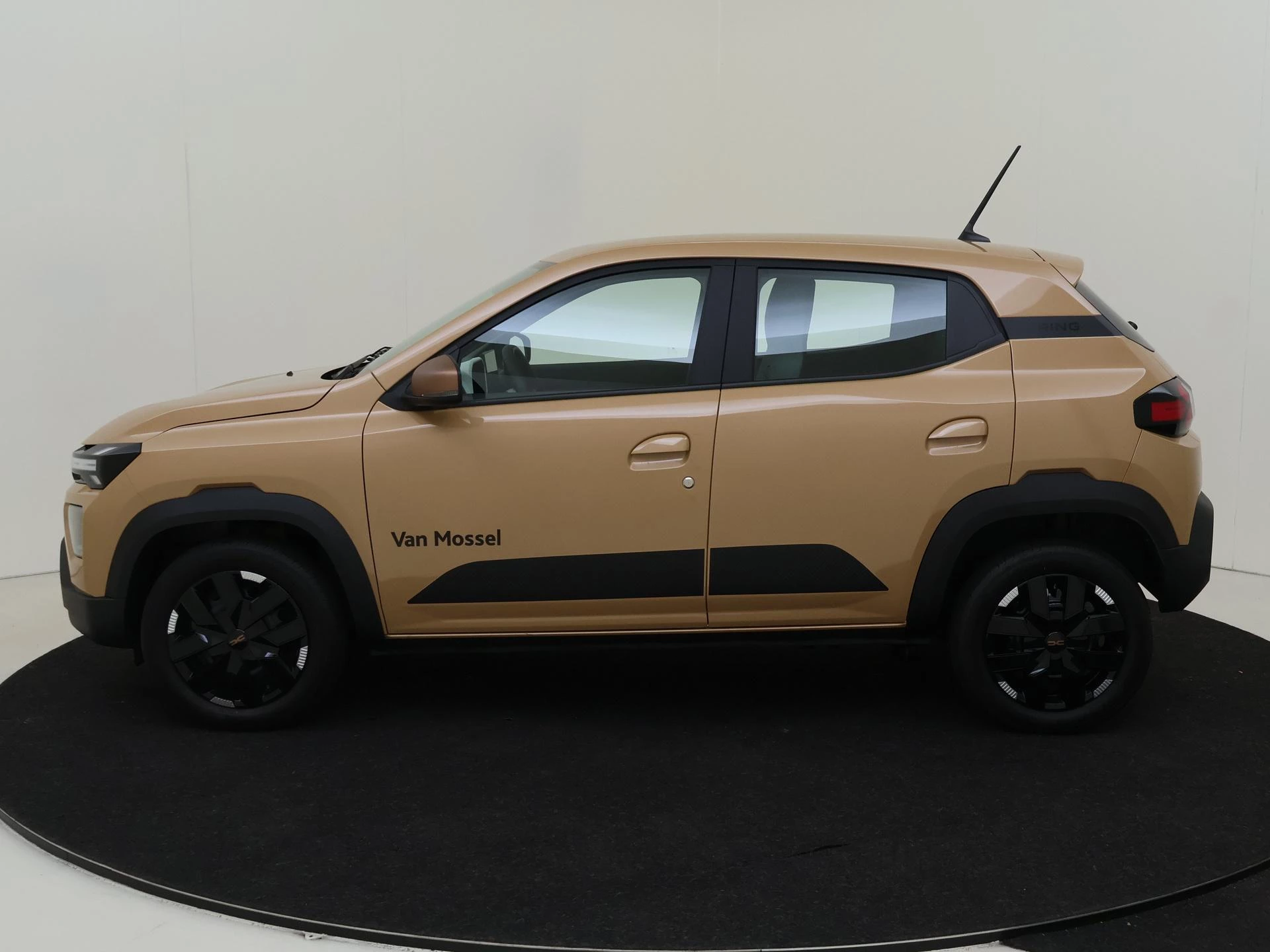 Dacia-Spring-image-1