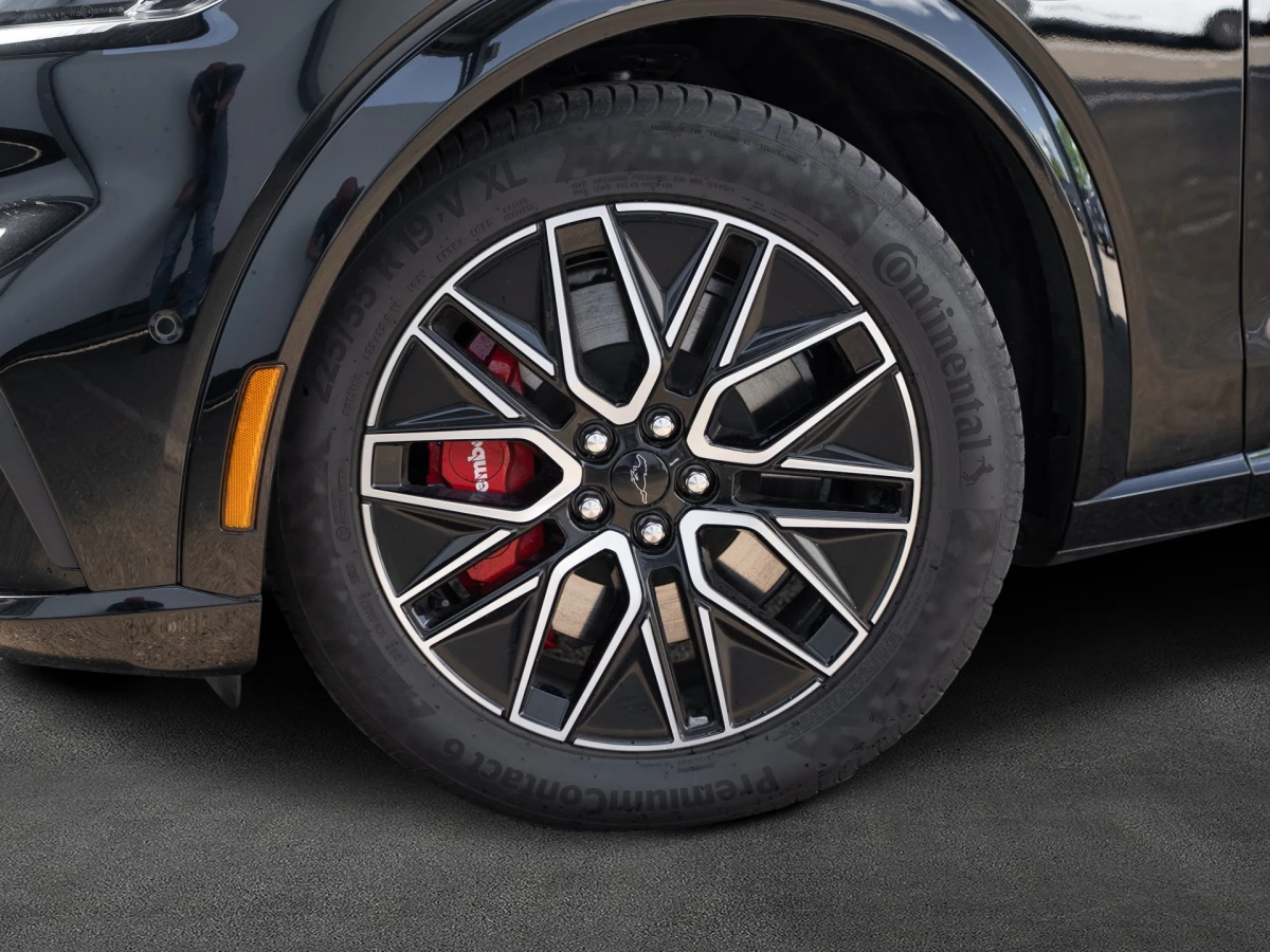 Ford-Mustang Mach-E-image-3