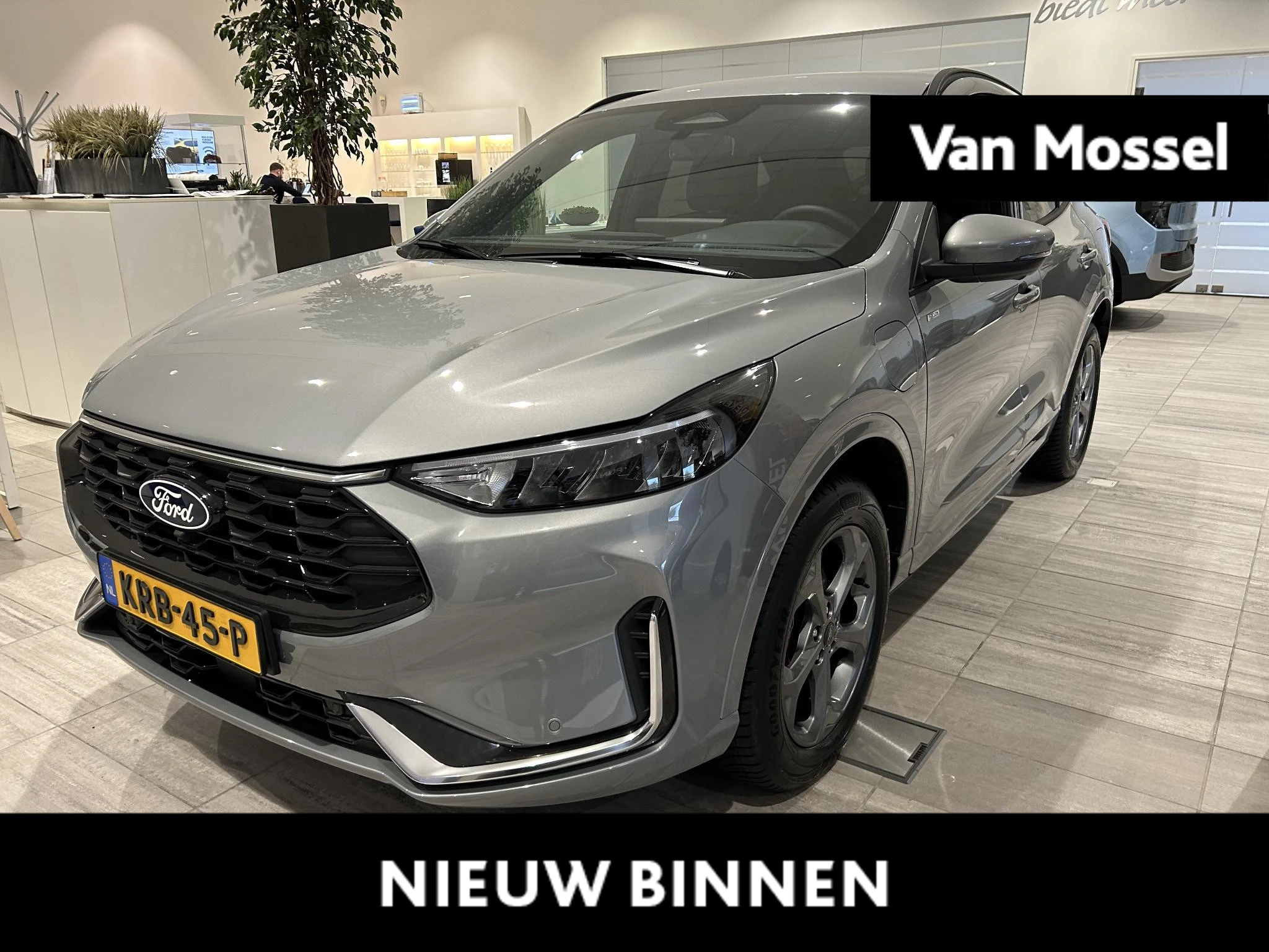 Ford-Kuga-image-0