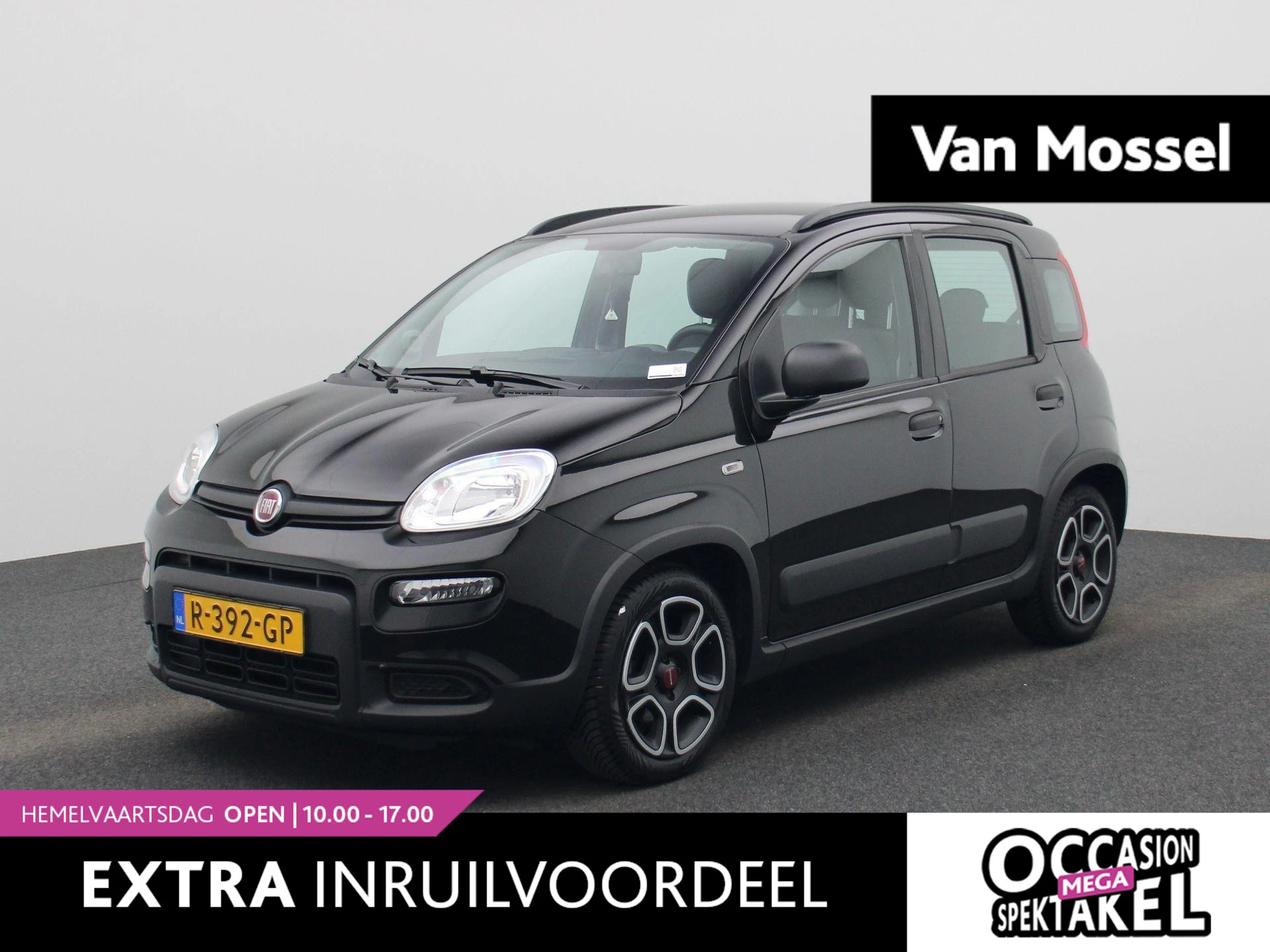 Fiat-Panda-image-0