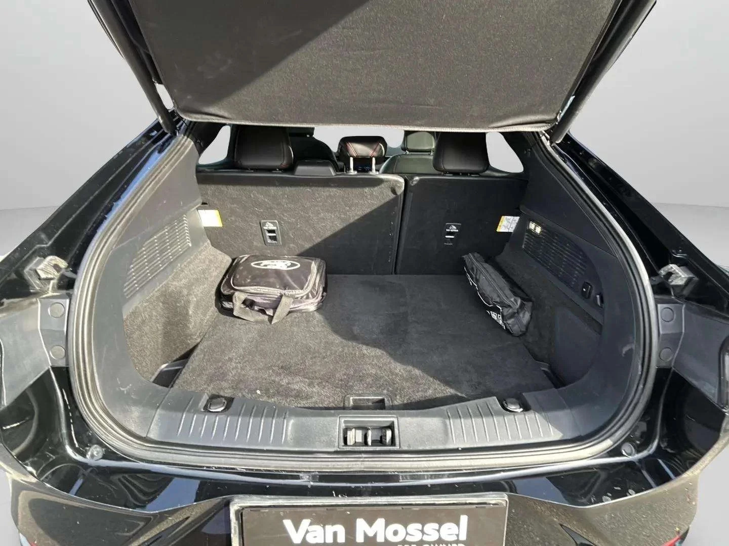 Ford-Mustang Mach-E-image-22