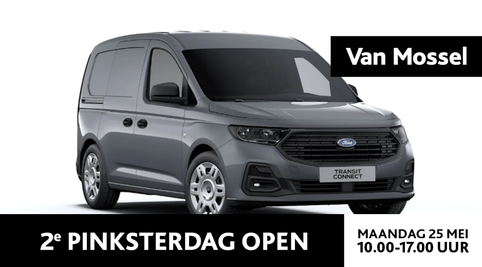 Ford-Transit Connect-image-0