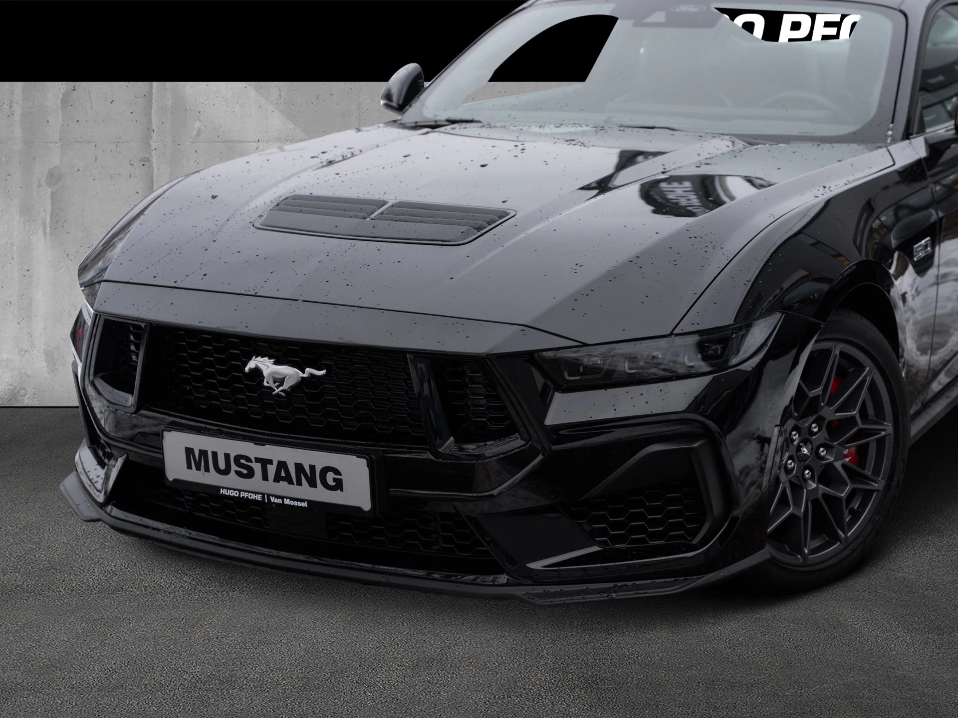 Ford Mustang GT Fastback V8 5.0 l