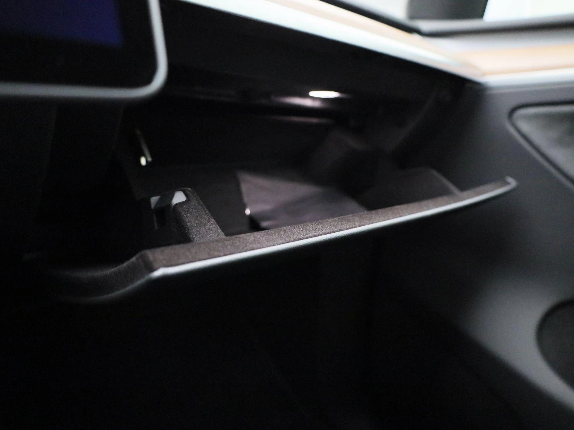 Tesla-Model Y-image-31