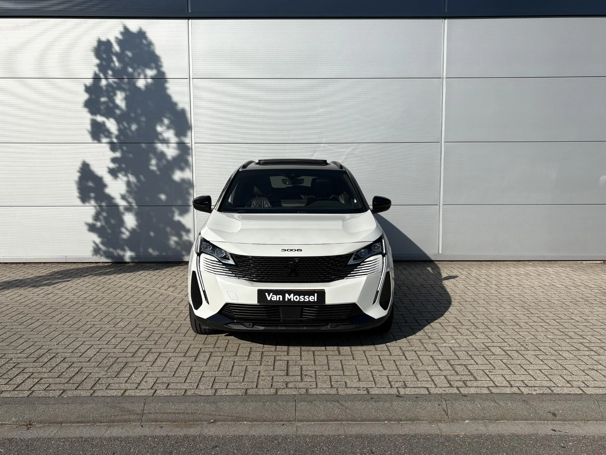 Peugeot-3008-image-8